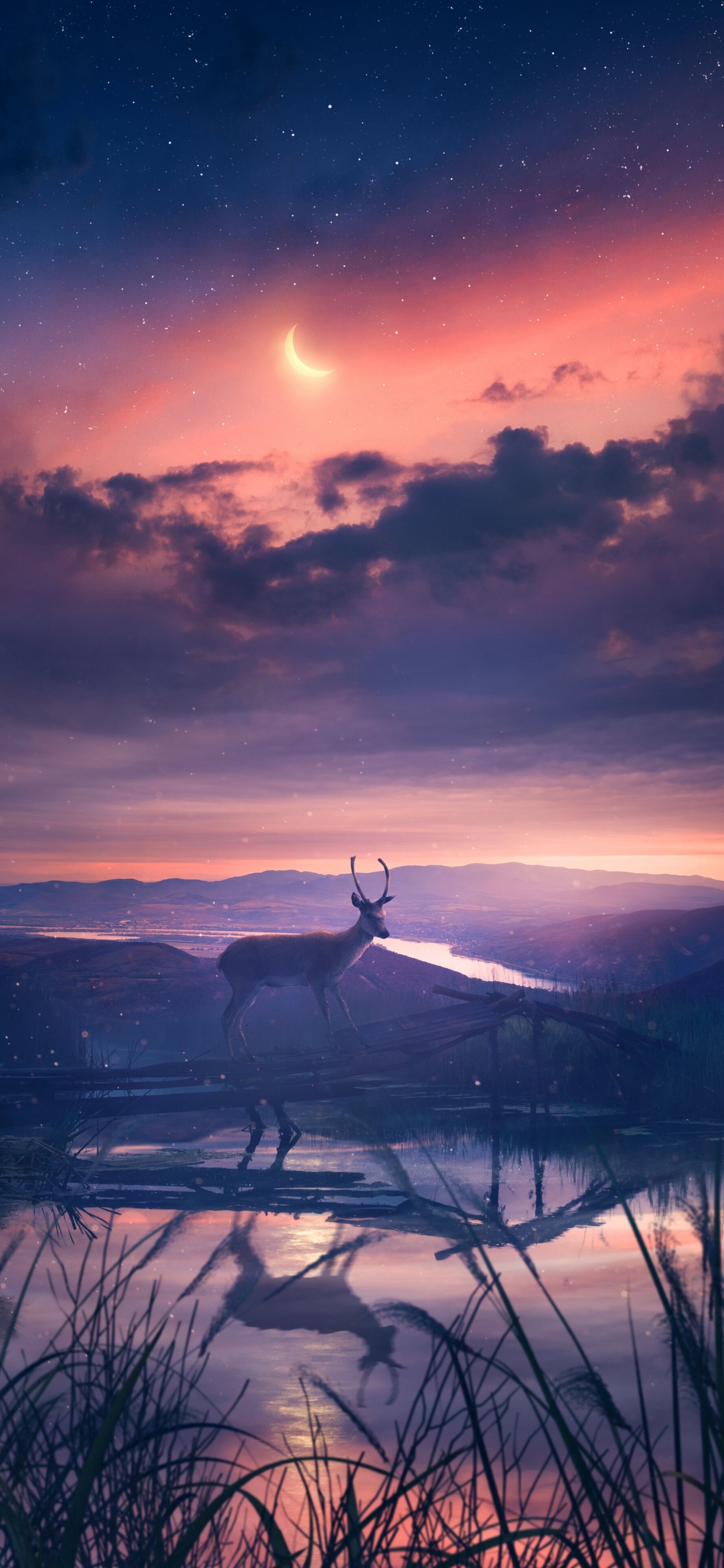 Edward Cullen, Hoodie, 2023, Cloud, Atmosphere. Wallpaper in 1242x2688 Resolution