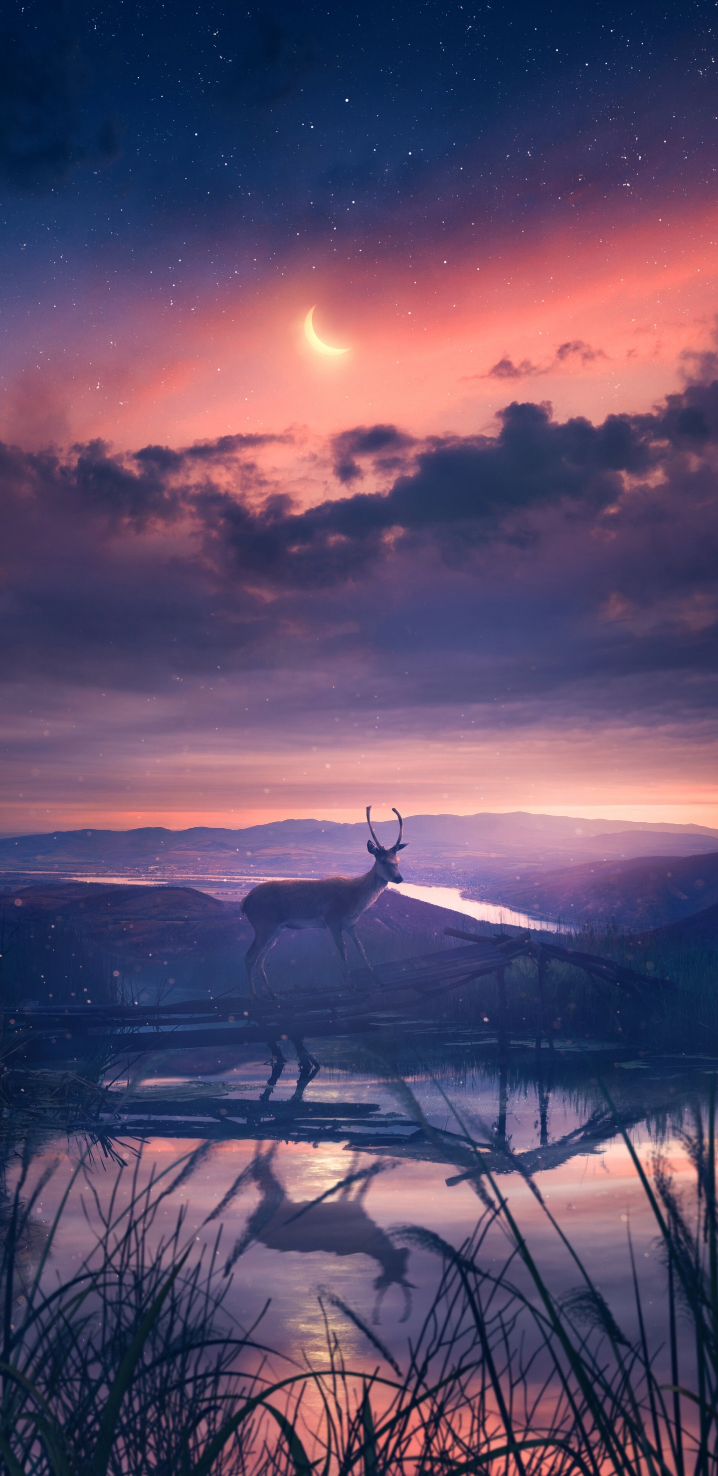 Edward Cullen, Hoodie, 2023, Cloud, Atmosphere. Wallpaper in 1440x2960 Resolution