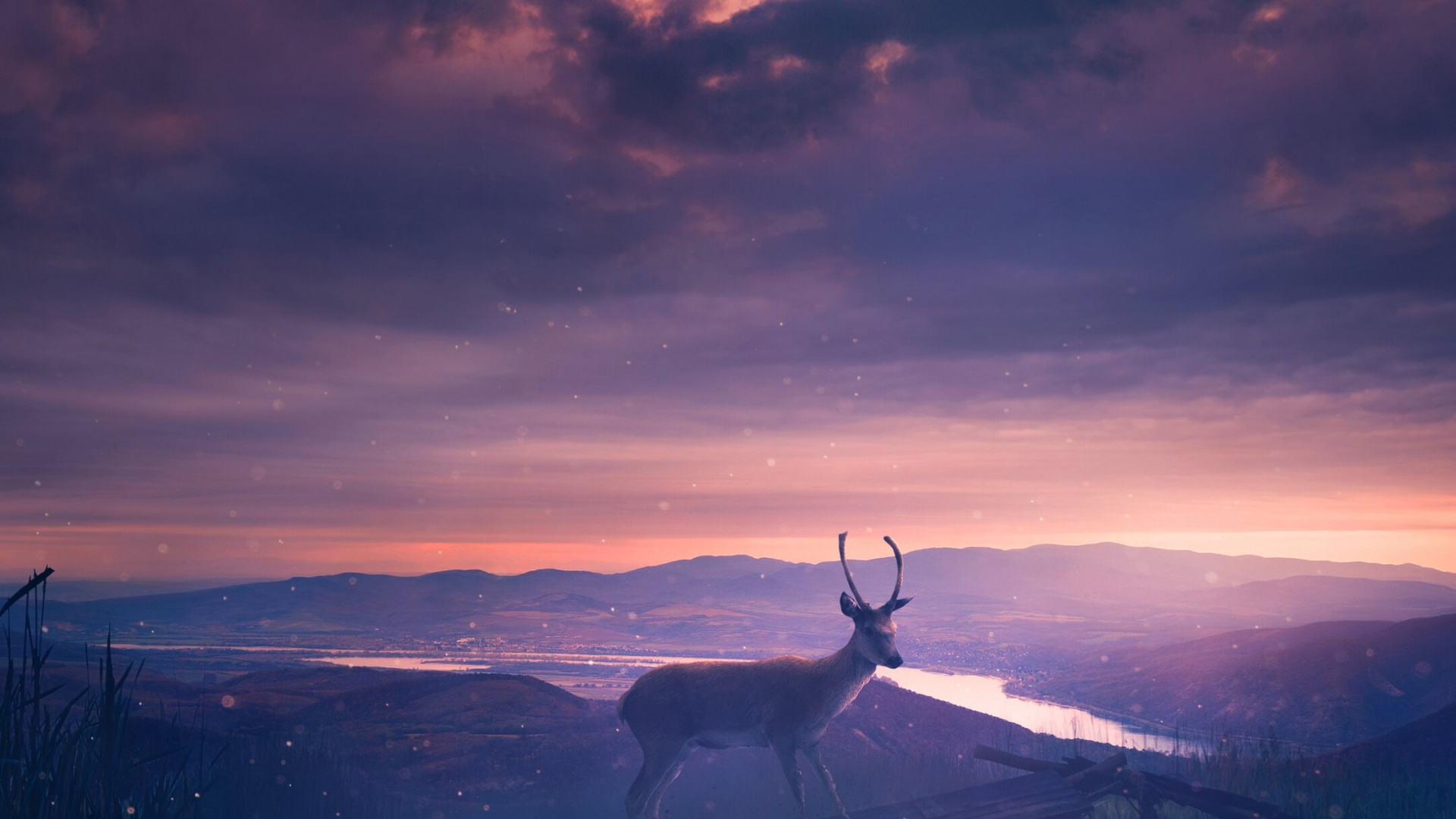 Edward Cullen, Sudadera, 2023, Ambiente, Agua. Wallpaper in 1920x1080 Resolution