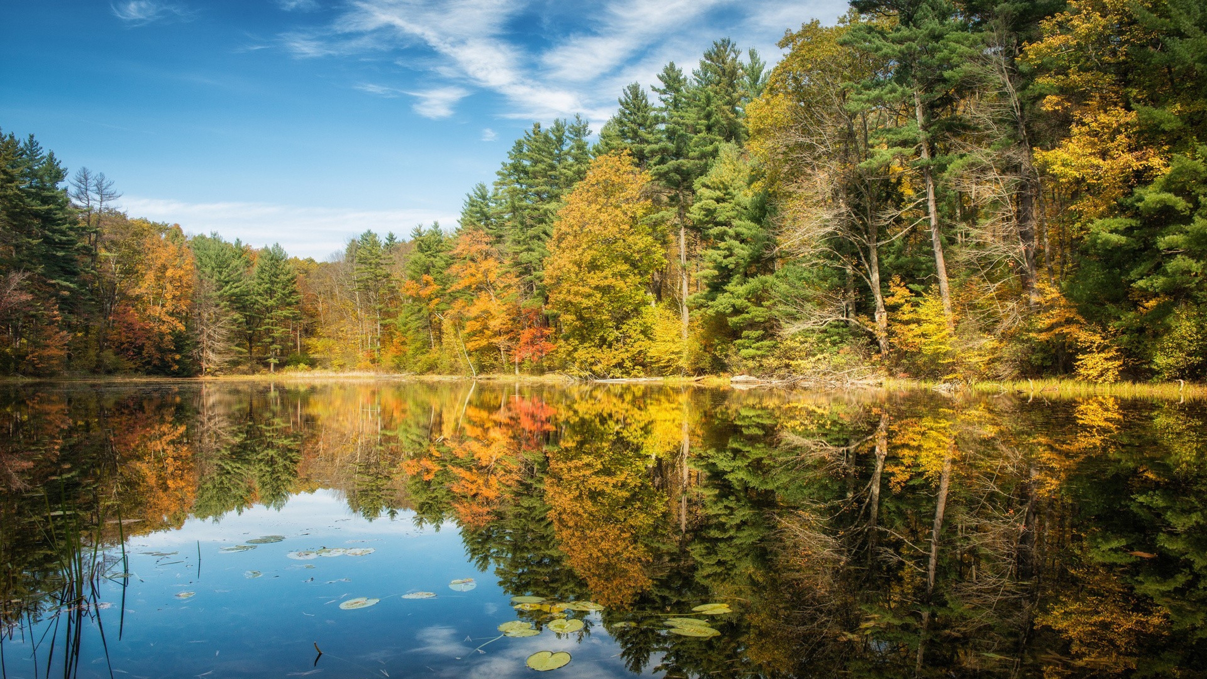 Green and Brown Trees Beside Lake Under Blue Sky During Daytime. Wallpaper in 3840x2160 Resolution