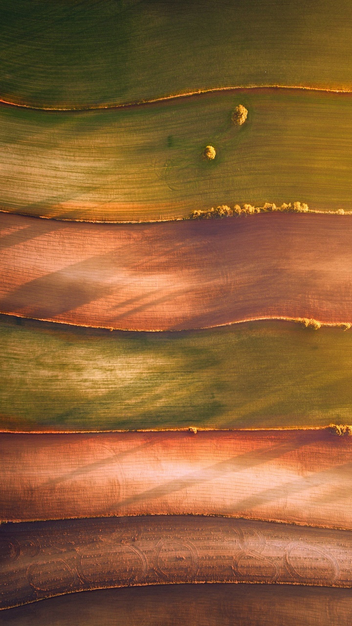 Eau, Teinture à Bois, L'écorégion, Orange, Rectangle. Wallpaper in 720x1280 Resolution