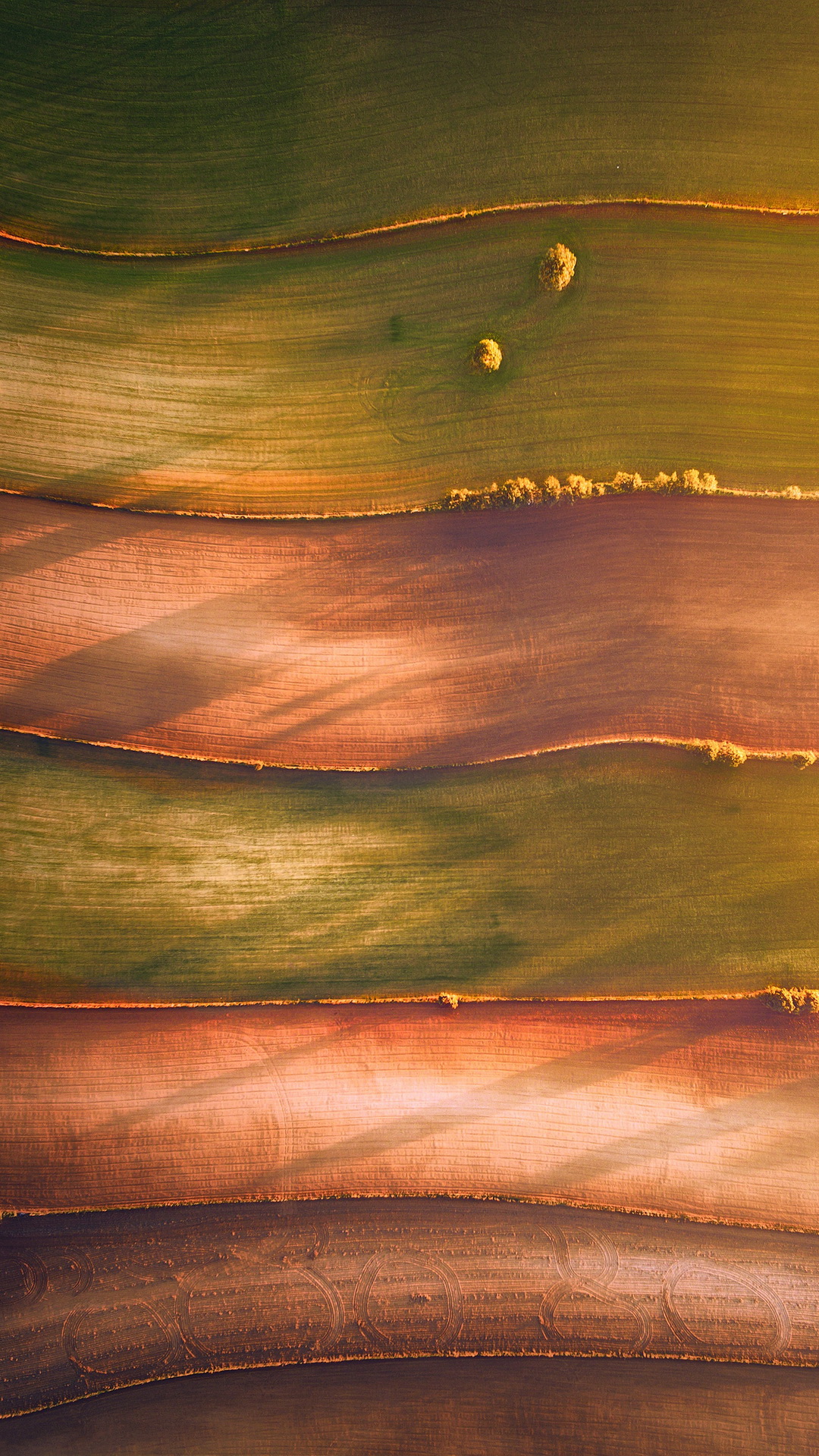 Water, Wood, Wood Stain, Ecoregion, Orange. Wallpaper in 1080x1920 Resolution