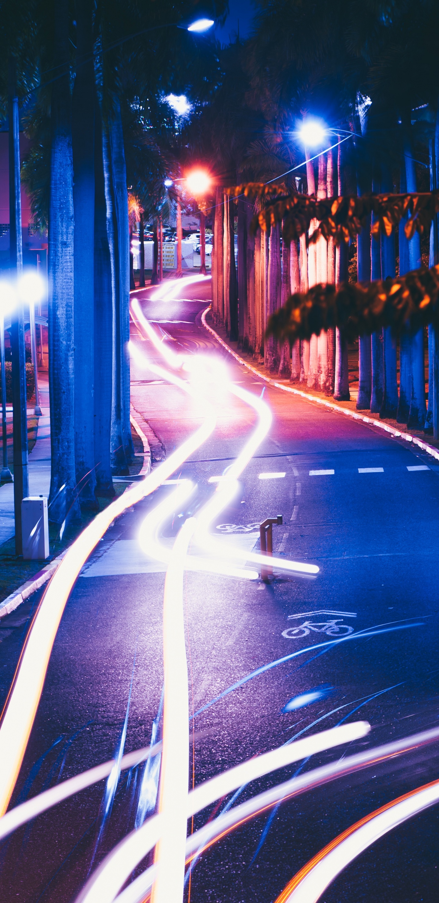 光, 车灯, 运输, 电蓝色的, 街 壁纸 1440x2960 允许