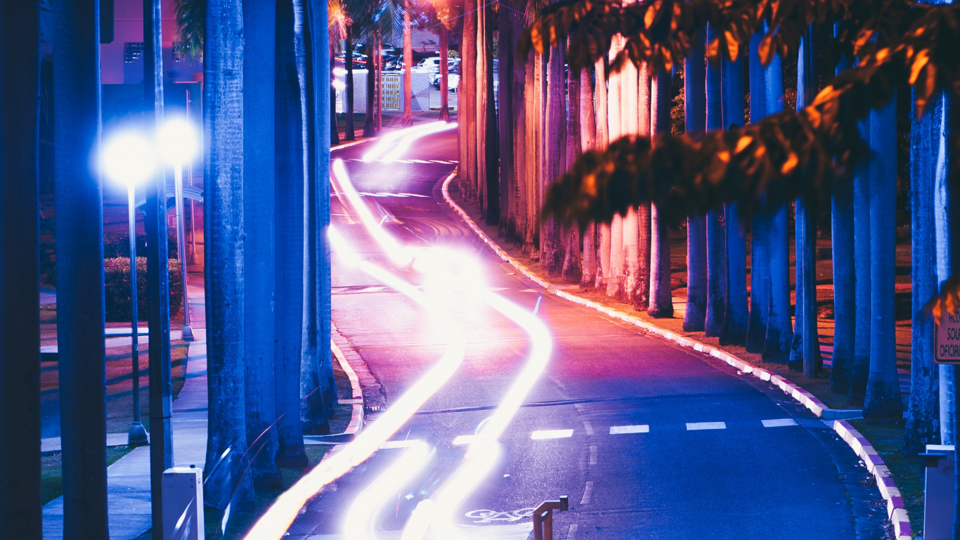 Route Goudronnée Noire Avec Poteau Lumineux Pendant la Nuit. Wallpaper in 1366x768 Resolution