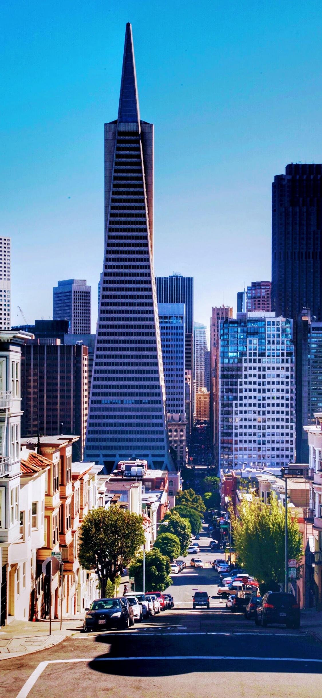 Transamerica-Pyramide, Gebäude, Wolkenkratzer, Tageszeit, Car. Wallpaper in 1125x2436 Resolution