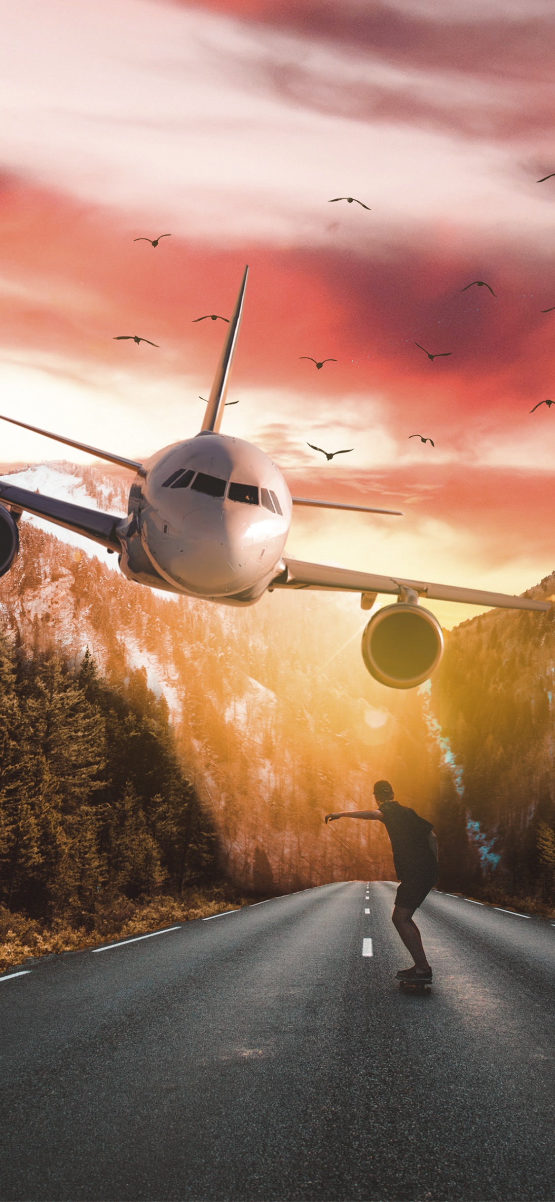 Airplane, Aircraft, Flight, Jet Aircraft, Aviation. Wallpaper in 1125x2436 Resolution