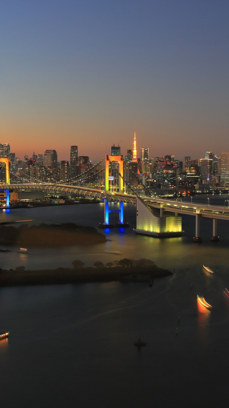 City Skyline During Night Time. Wallpaper in 750x1334 Resolution
