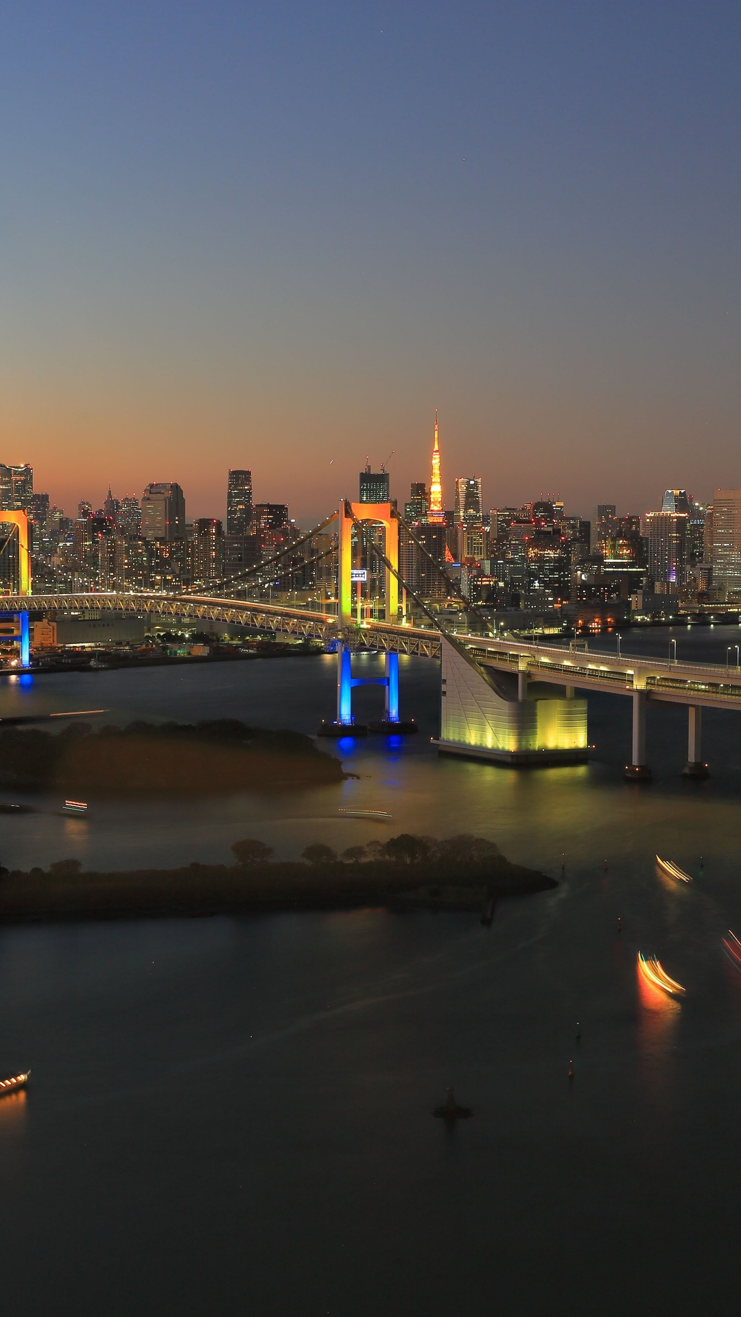 Skyline Der Stadt Bei Nacht Night. Wallpaper in 1080x1920 Resolution