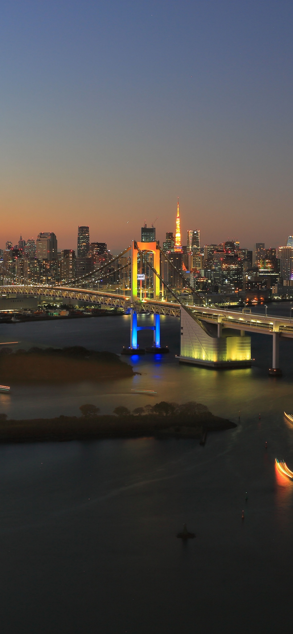 Skyline Der Stadt Bei Nacht Night. Wallpaper in 1242x2688 Resolution