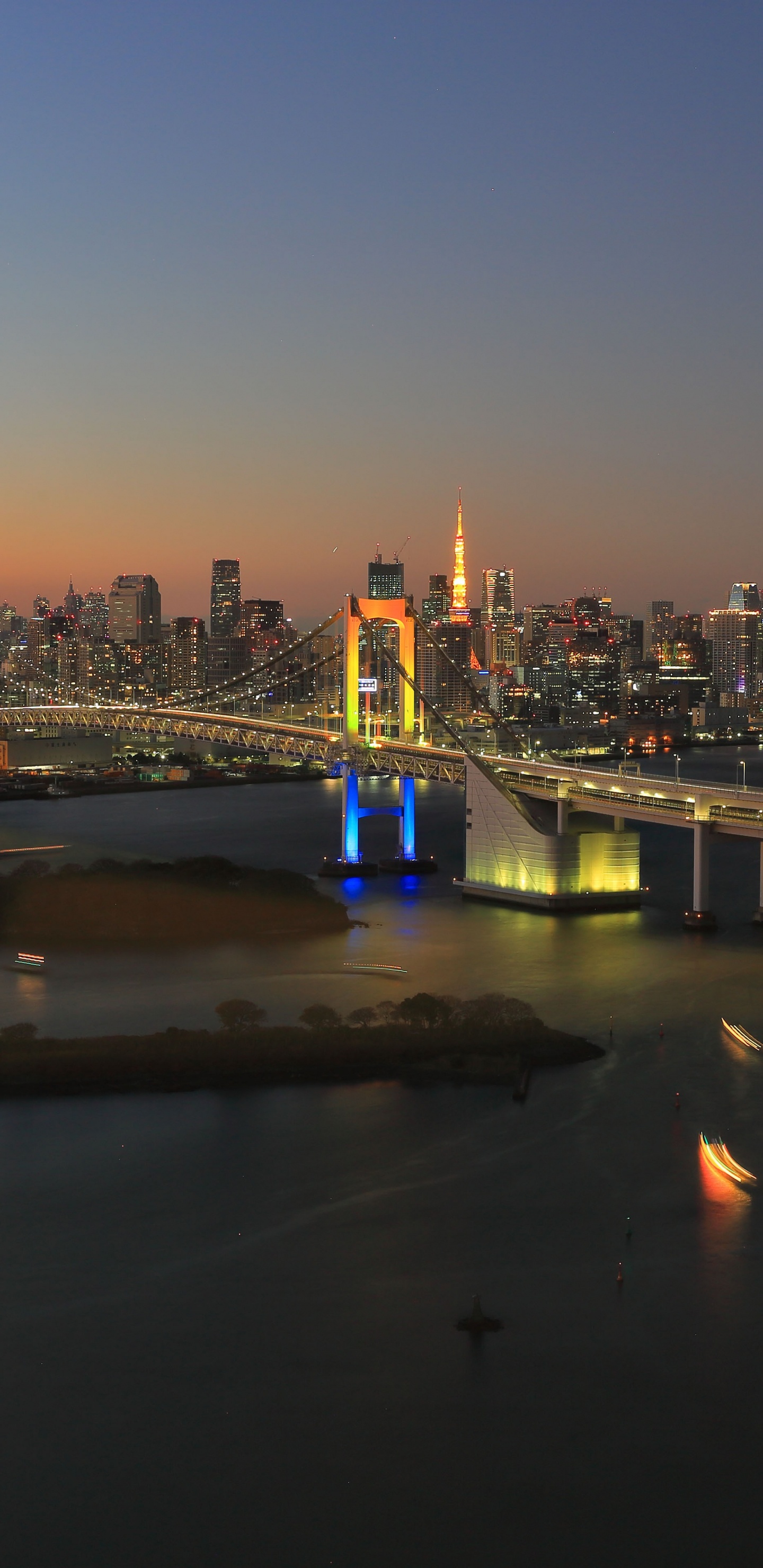 Skyline Der Stadt Bei Nacht Night. Wallpaper in 1440x2960 Resolution