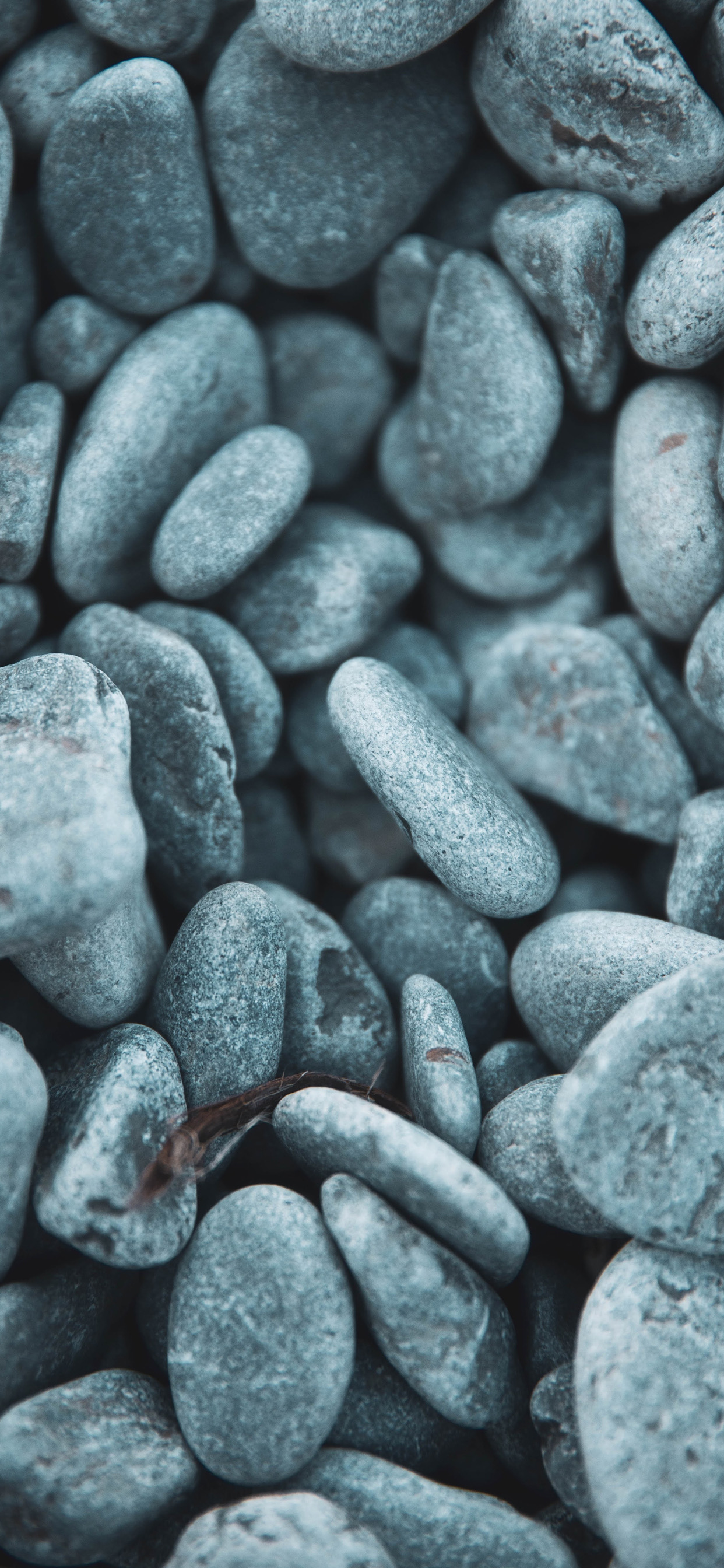 Kieselstein, Schwarz Und Weiß, Close Up, Rock, Electric Blue. Wallpaper in 1242x2688 Resolution