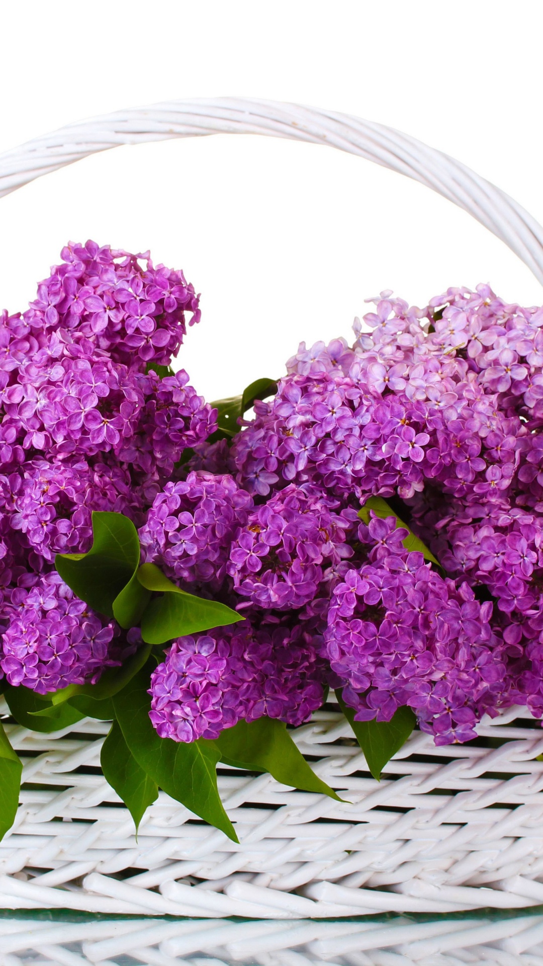 Fleurs Violettes Sur Panier Tressé. Wallpaper in 1080x1920 Resolution