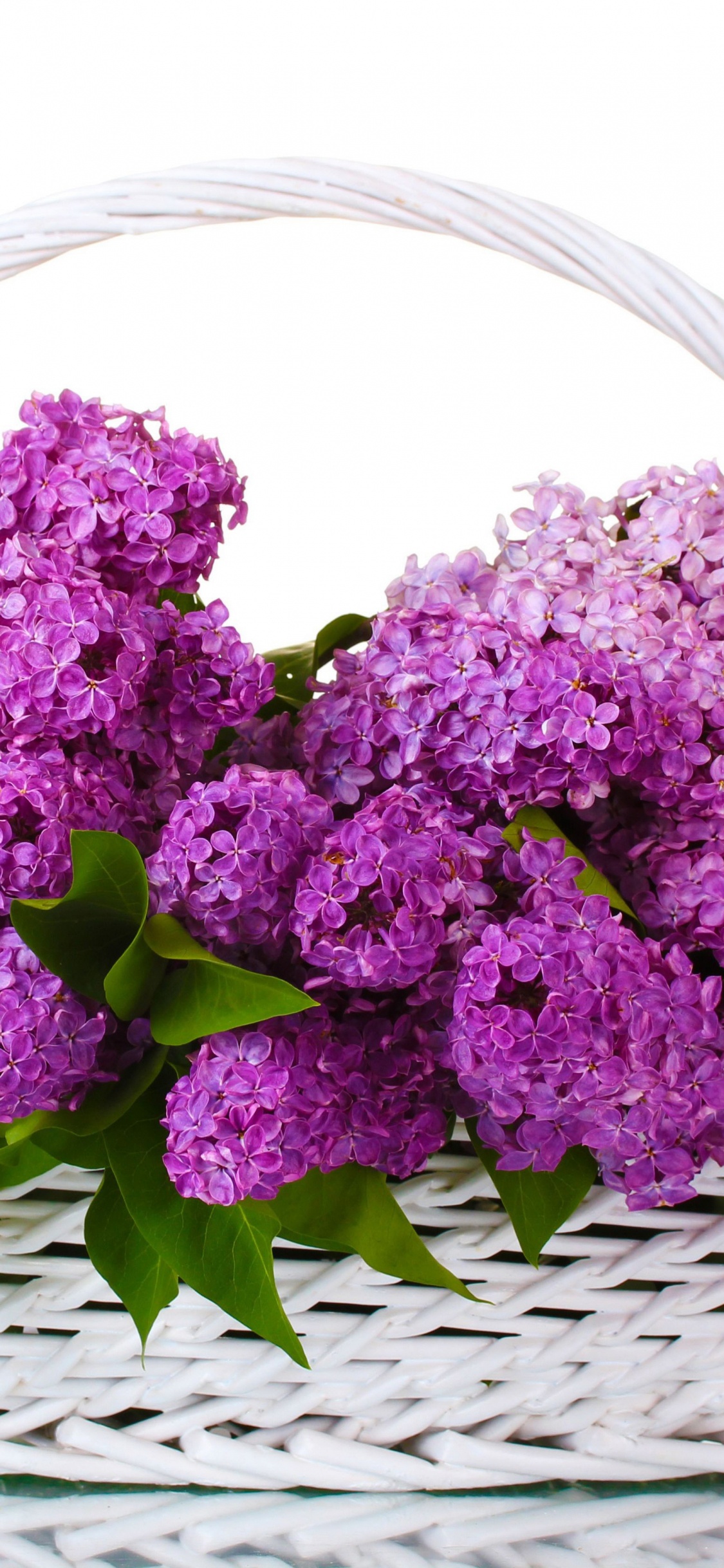 Fleurs Violettes Sur Panier Tressé. Wallpaper in 1125x2436 Resolution