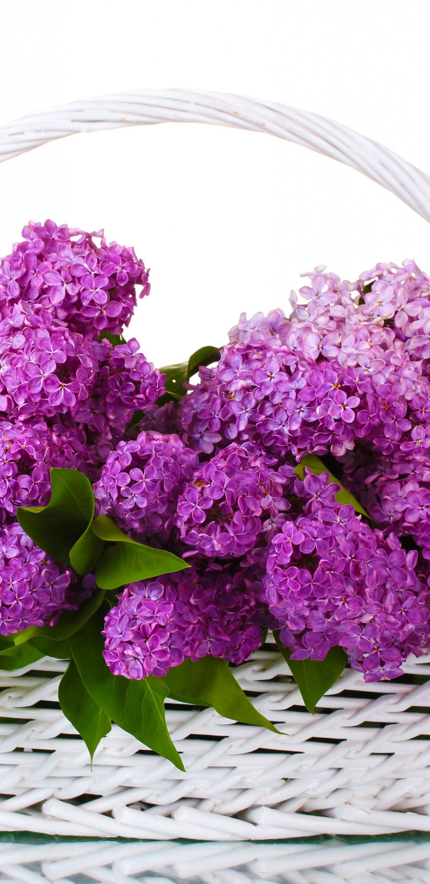 Fleurs Violettes Sur Panier Tressé. Wallpaper in 1440x2960 Resolution