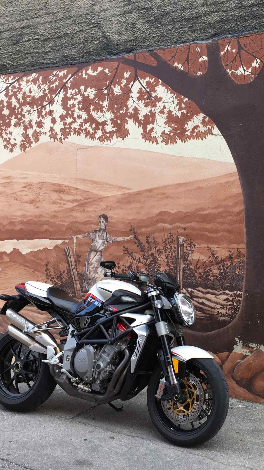 Black and White Motorcycle Parked Beside Brown Tree. Wallpaper in 1080x1920 Resolution