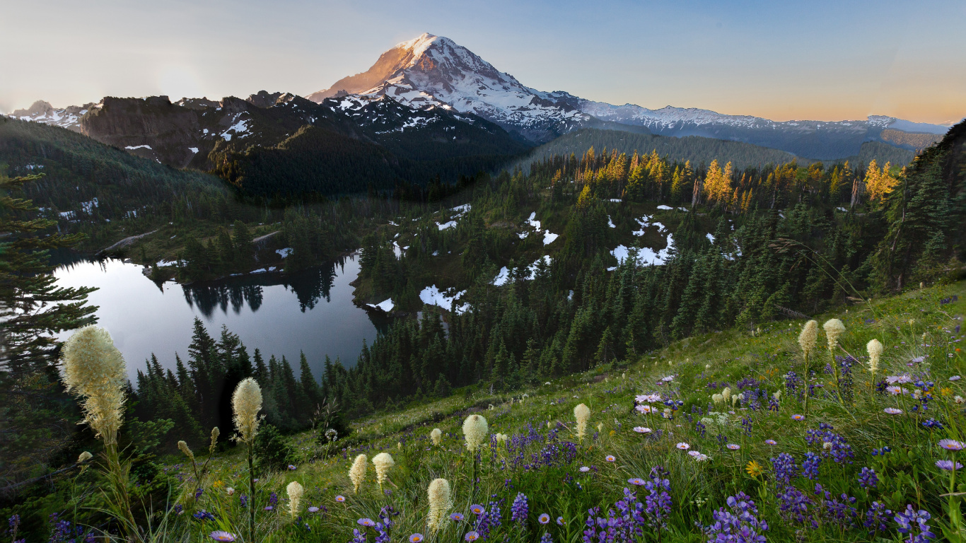 Tolmie Peak Fire Lookout, Tablet, Mountain, Plant, Flower. Wallpaper in 1366x768 Resolution