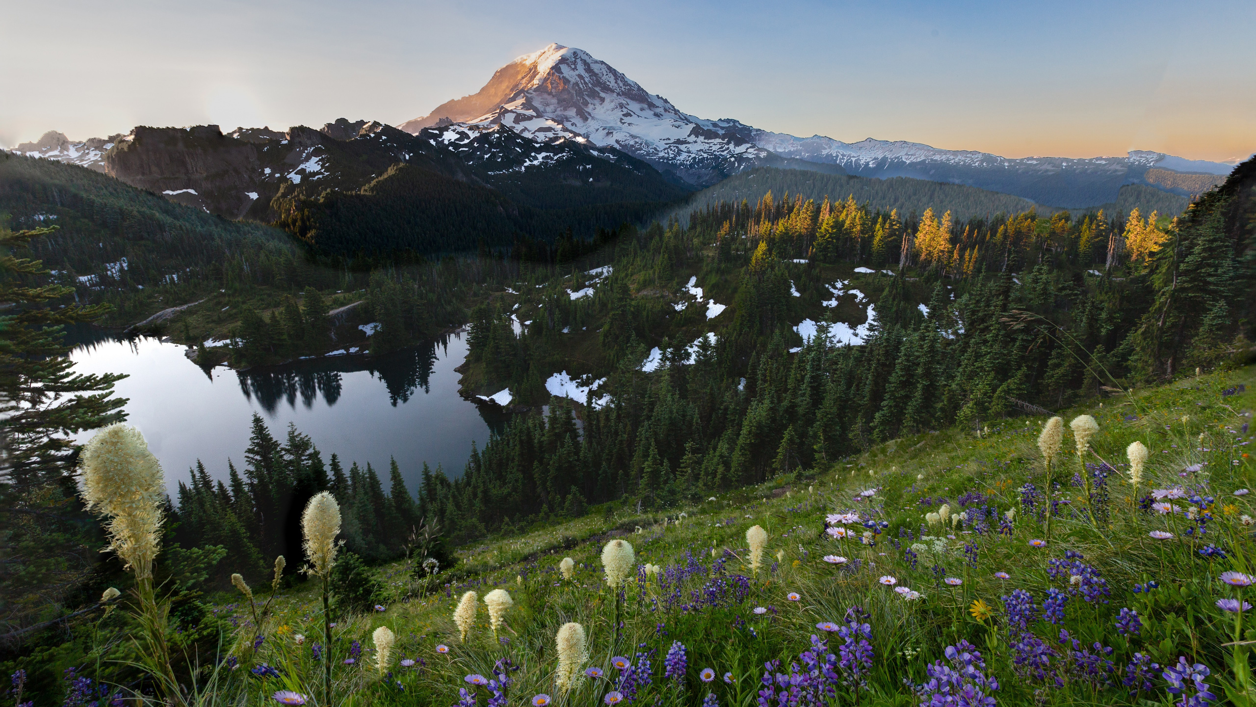 Tolmie Peak Fire Lookout, Tablet, Mountain, Plant, Flower. Wallpaper in 2560x1440 Resolution