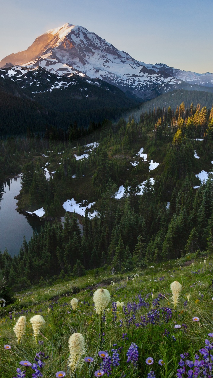 Tolmie Peak Fire Lookout, Tablet, Ökoregion, Natur, Naturlandschaft. Wallpaper in 720x1280 Resolution