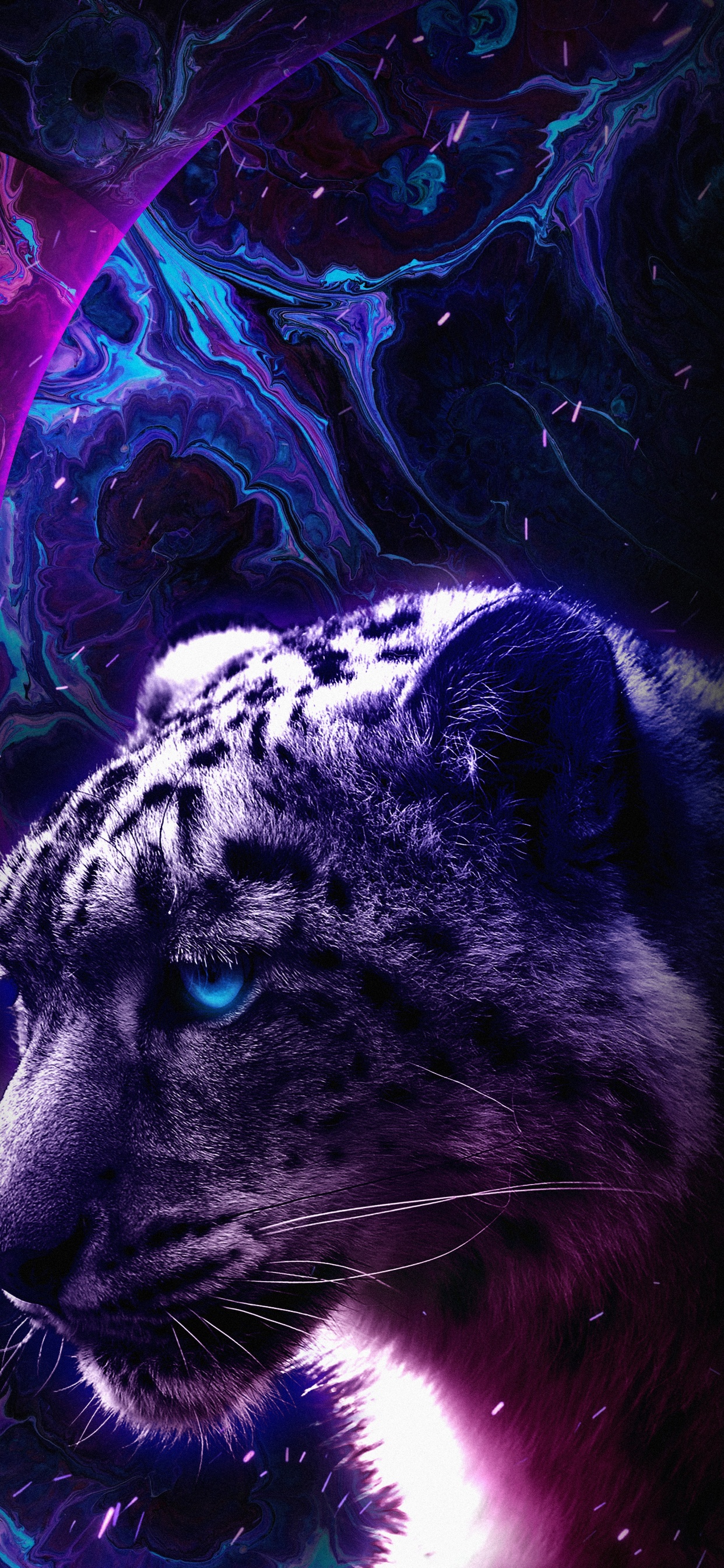 Black Panther, Tick Tack, Licht, Carnivore, Backenbart. Wallpaper in 1242x2688 Resolution