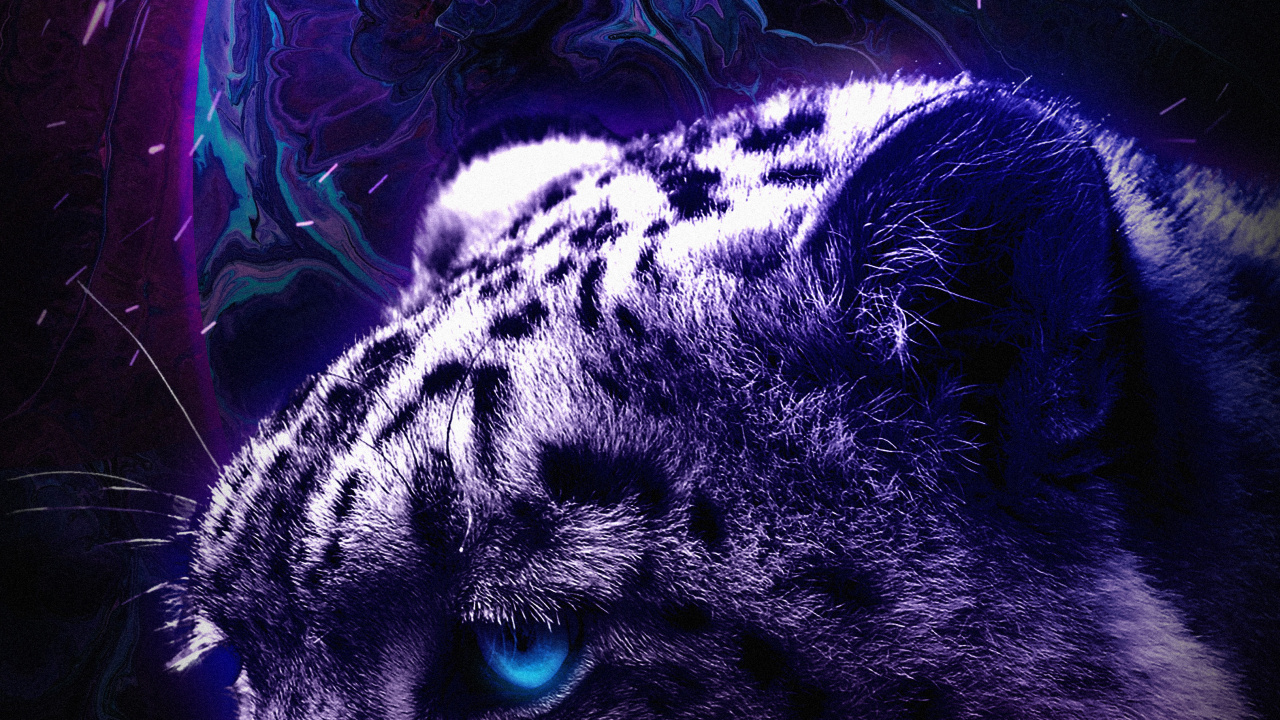 Black Panther, Tick Tack, Licht, Carnivore, Backenbart. Wallpaper in 1280x720 Resolution