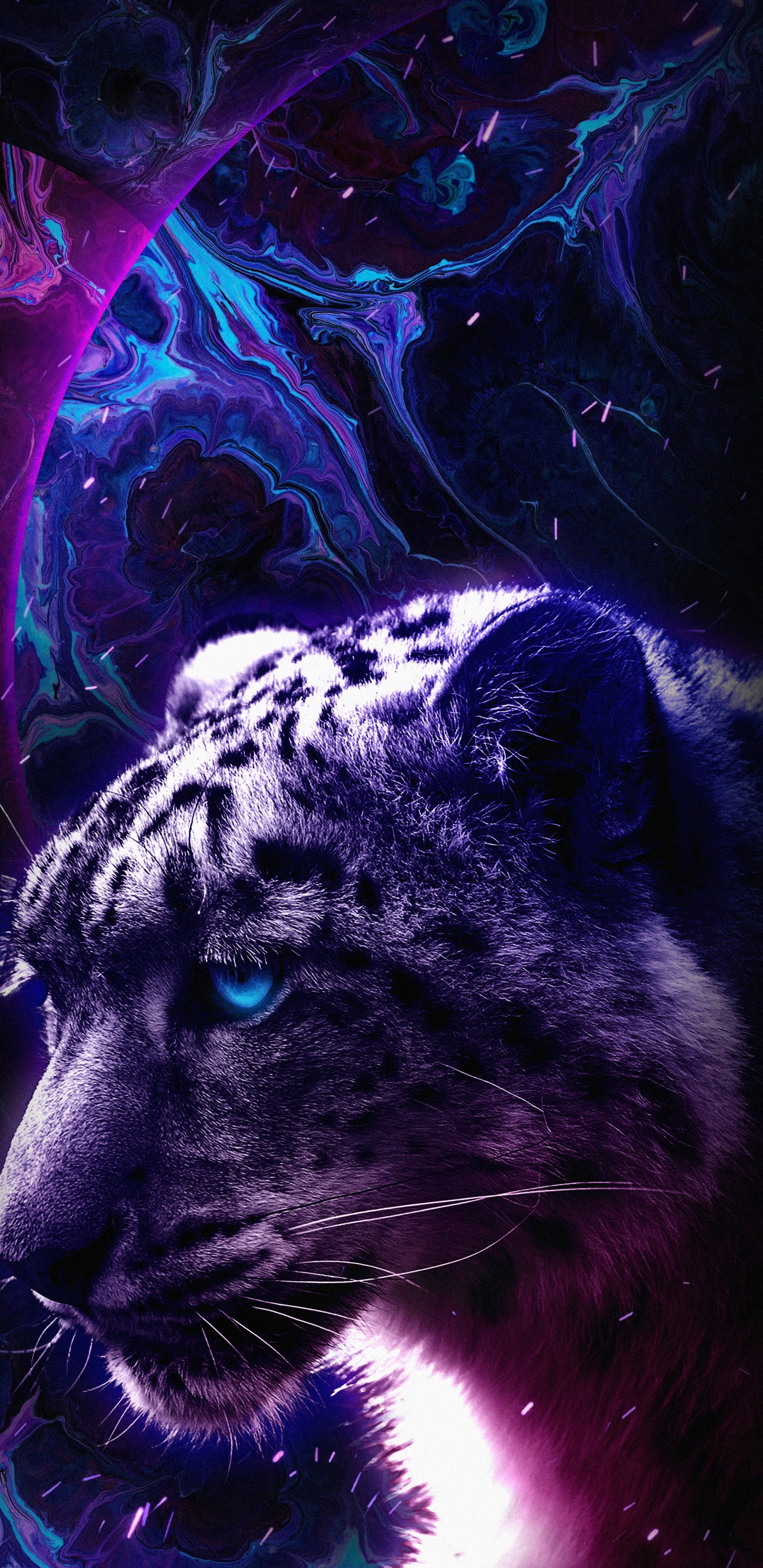 Black Panther, Tick Tack, Licht, Carnivore, Backenbart. Wallpaper in 1440x2960 Resolution