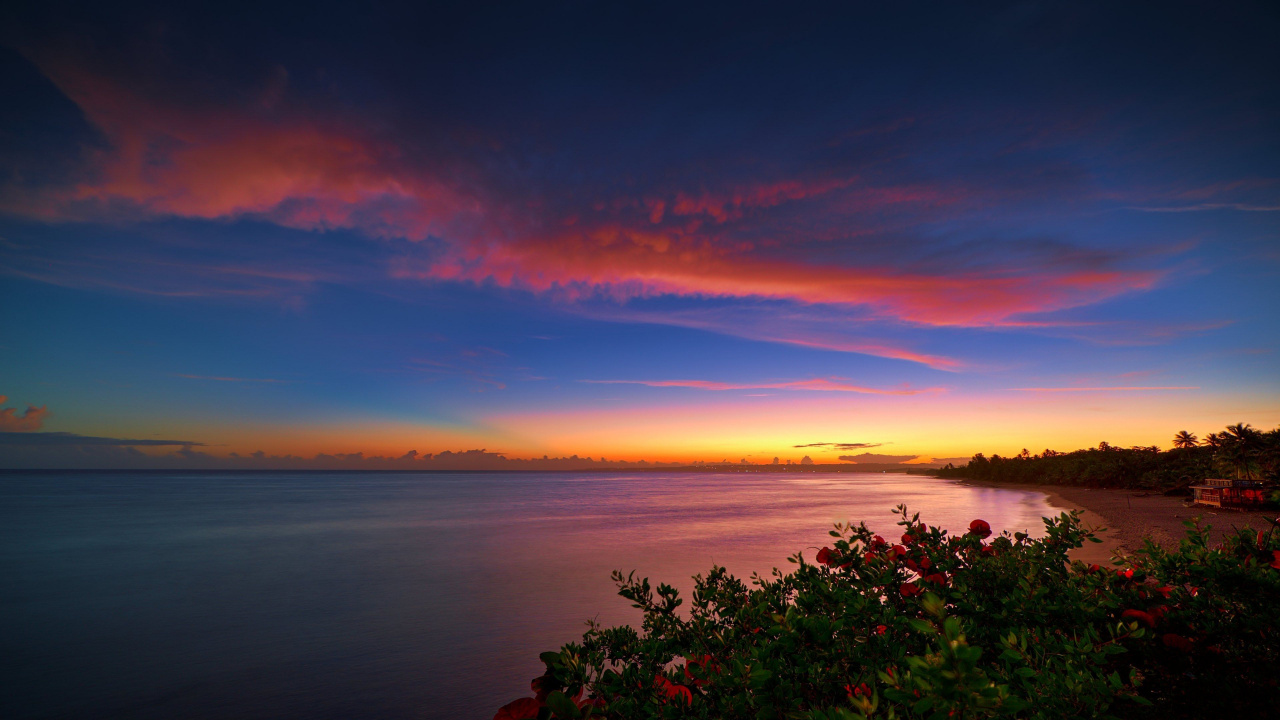 Green Plants Near Body of Water During Sunset. Wallpaper in 1280x720 Resolution