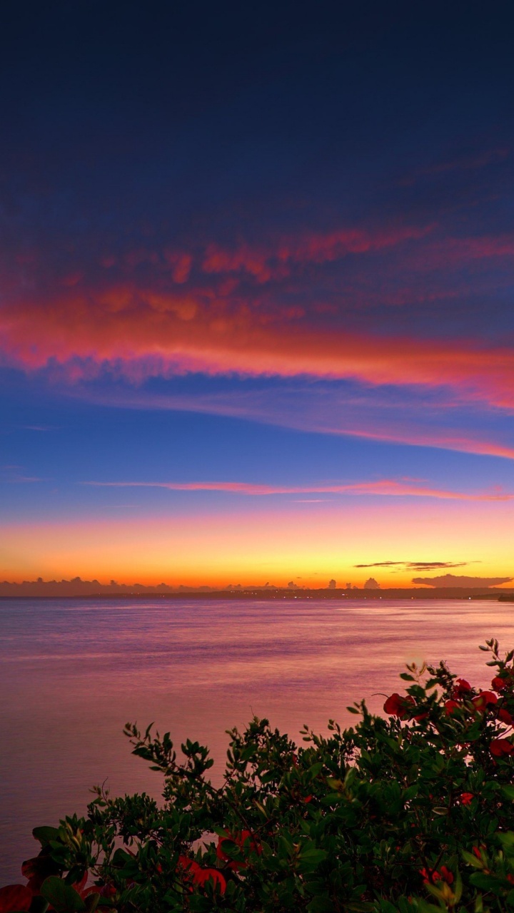 Green Plants Near Body of Water During Sunset. Wallpaper in 720x1280 Resolution