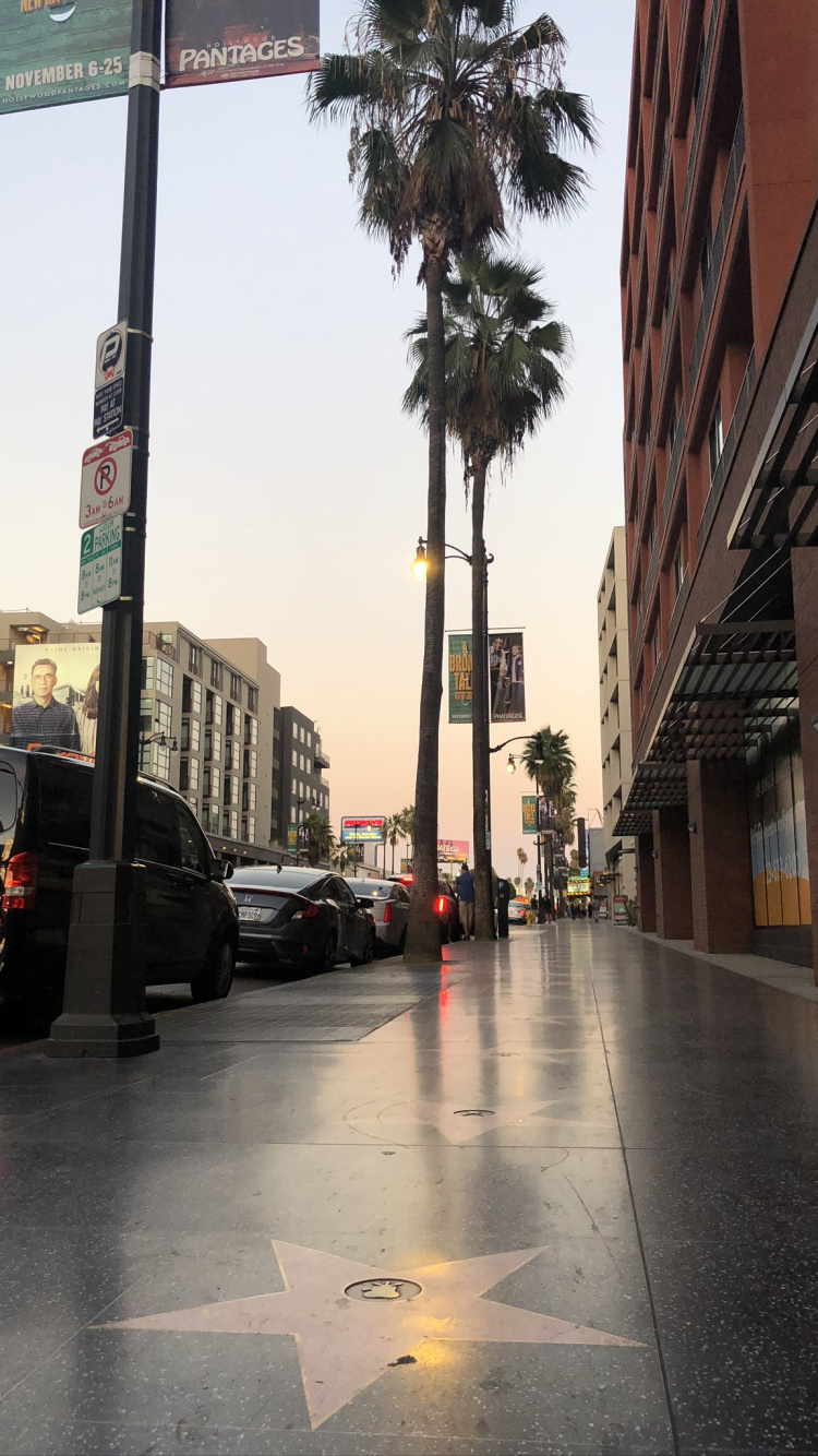 Rey, Carretera, Zona Residencial, Invierno, Arquitectura. Wallpaper in 750x1334 Resolution