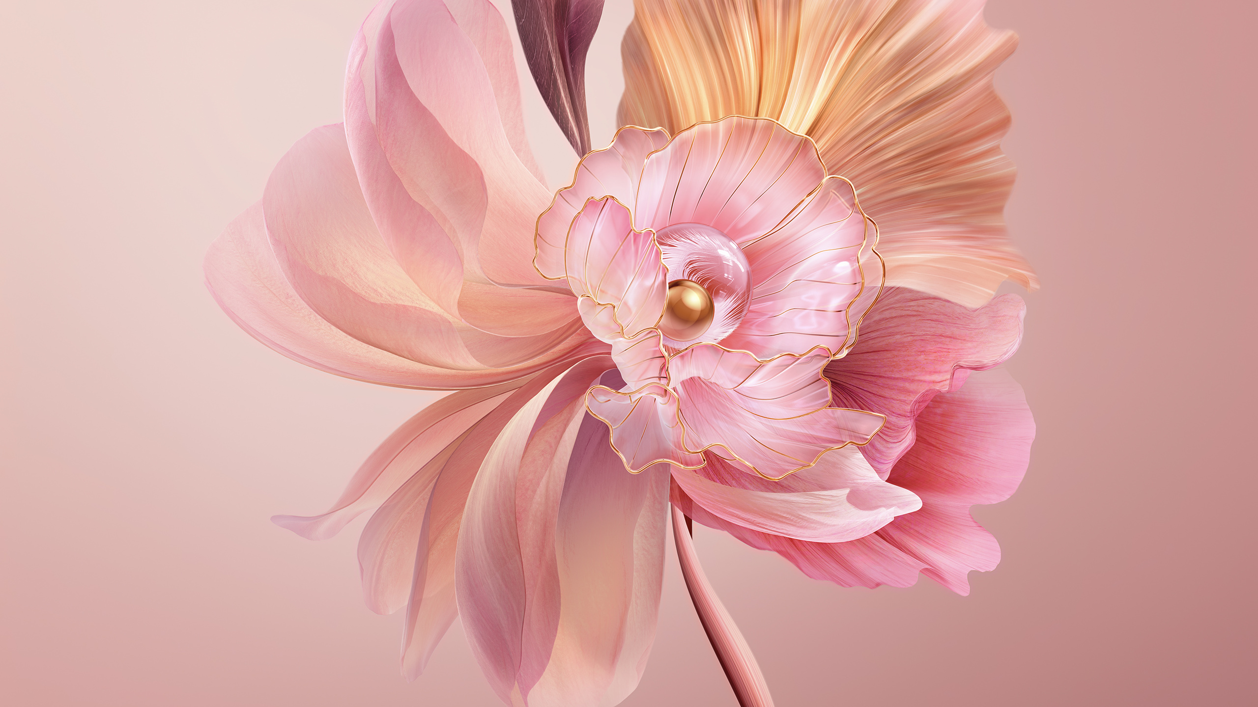 Pink, Blumenmuster, Ästhetik, Kunst, Blütenblatt. Wallpaper in 2560x1440 Resolution