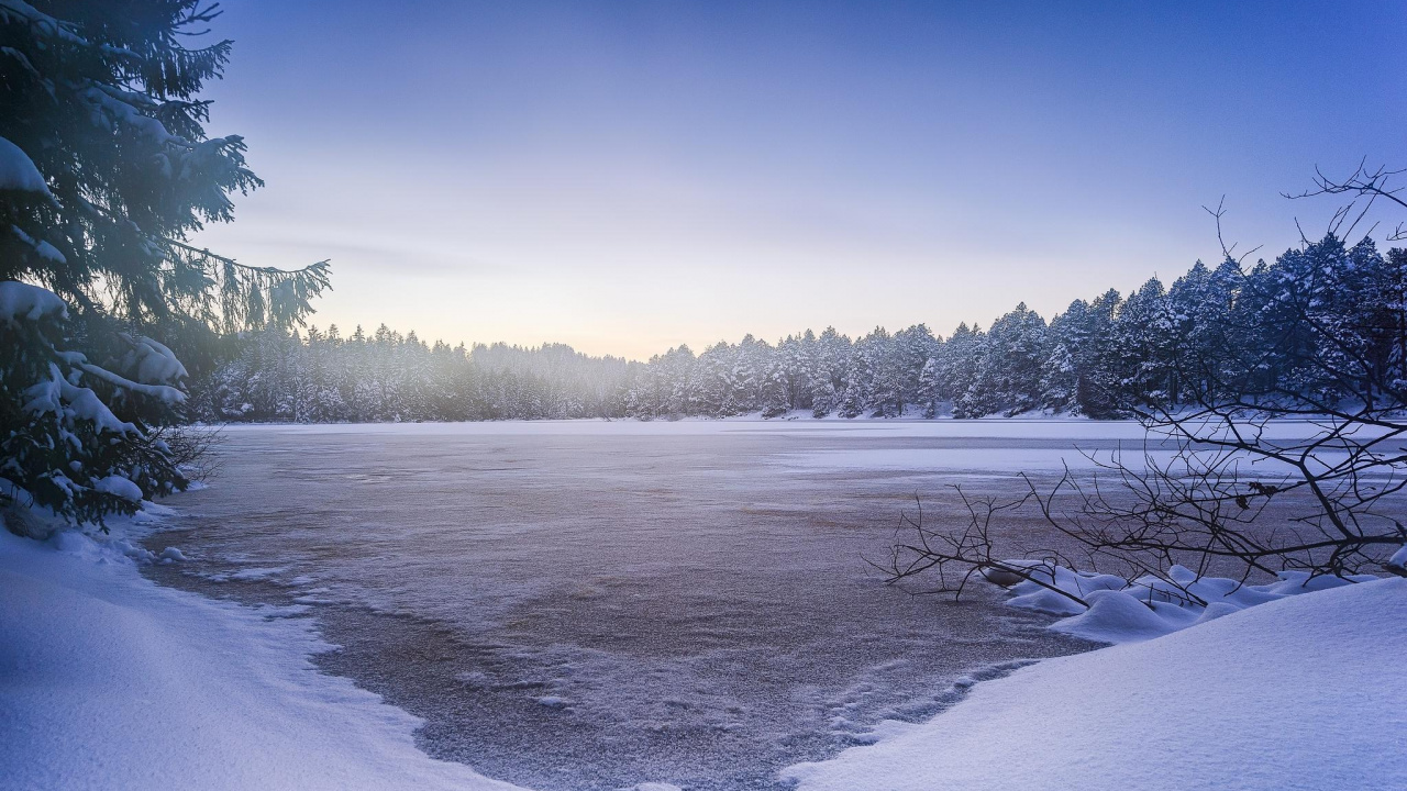 Snow Covered Field and Trees During Daytime. Wallpaper in 1280x720 Resolution