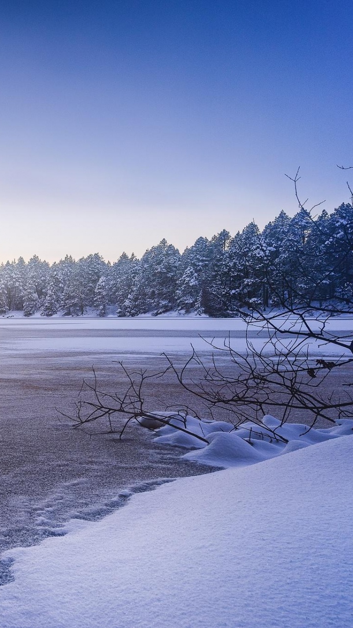 Snow Covered Field and Trees During Daytime. Wallpaper in 720x1280 Resolution