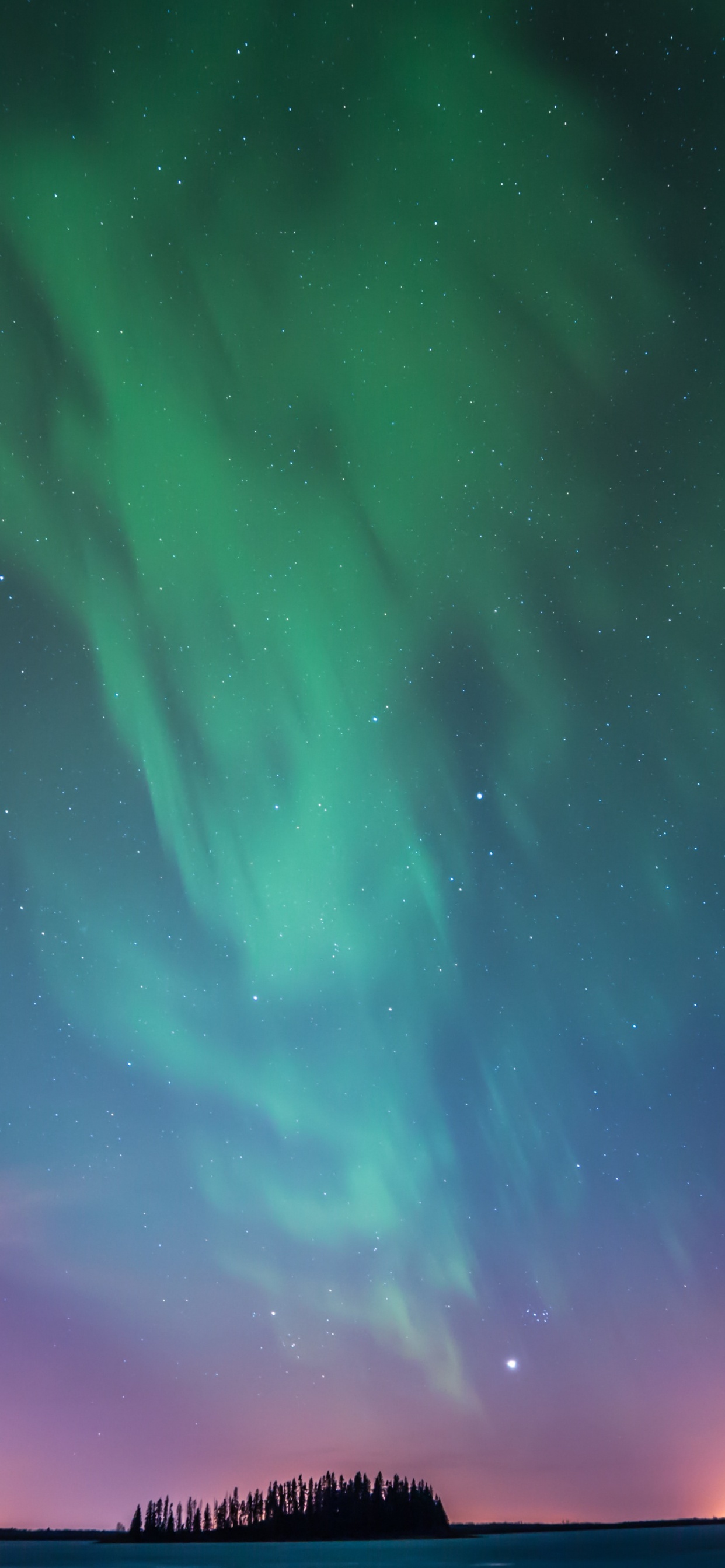 Aurora, Nature, Atmosphere, Horizon, Night. Wallpaper in 1242x2688 Resolution