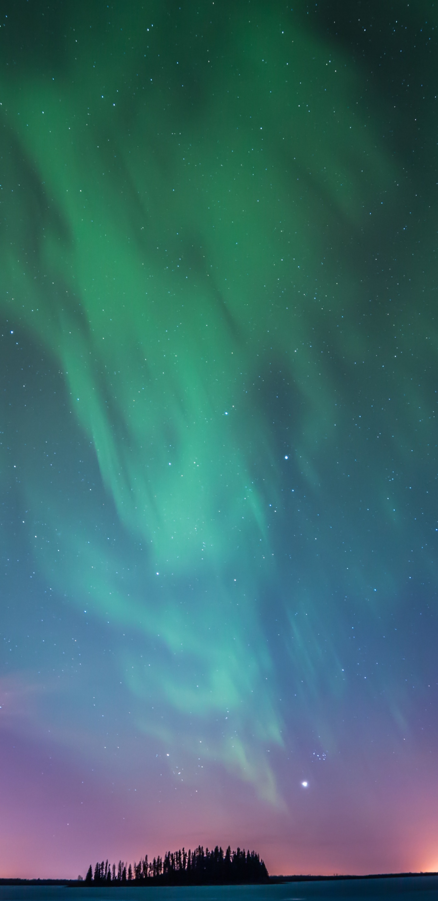 Aurora, Nature, Atmosphère, Horizon, Nuit. Wallpaper in 1440x2960 Resolution