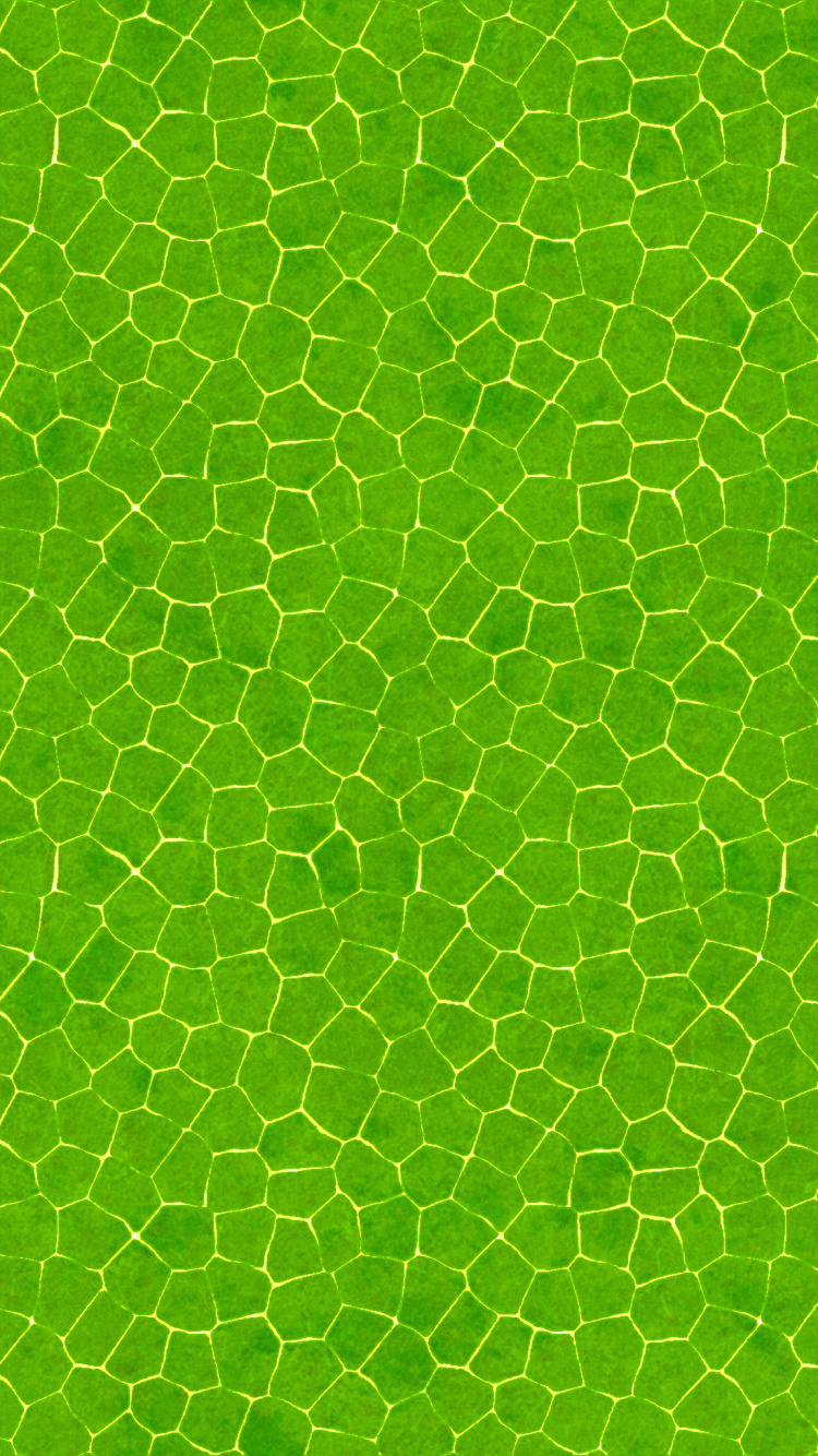 Grün-weiß Gepunktetes Textil. Wallpaper in 750x1334 Resolution