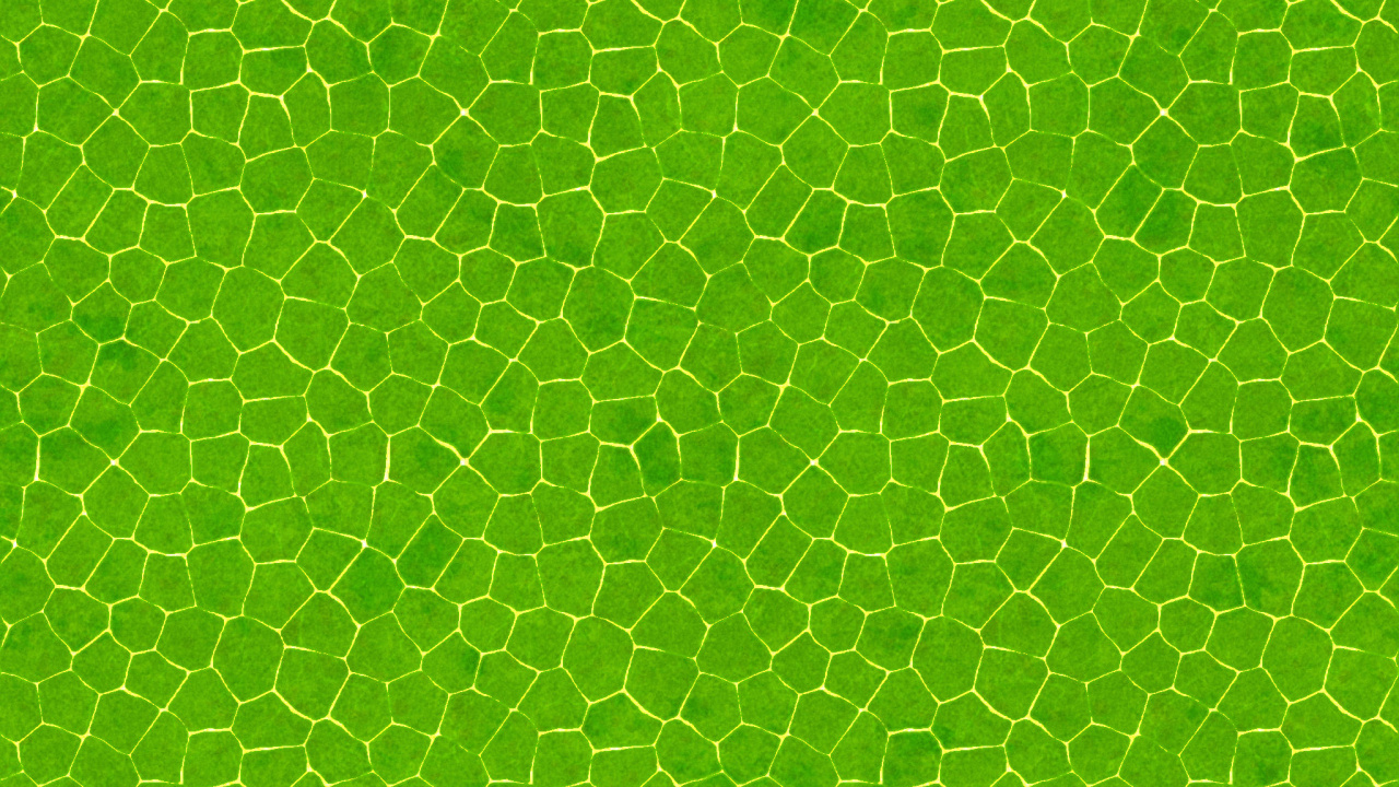 Textil de Lunares Verde y Blanco. Wallpaper in 1280x720 Resolution