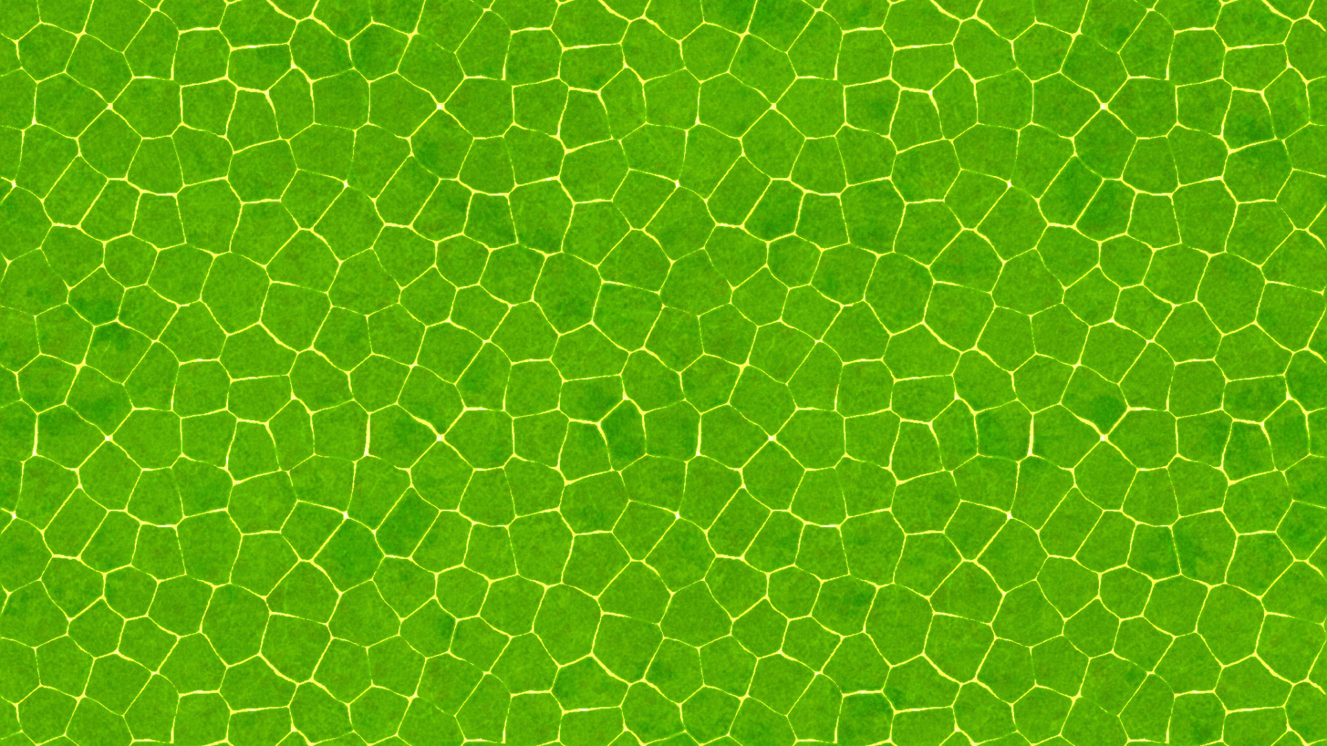 Textil de Lunares Verde y Blanco. Wallpaper in 1920x1080 Resolution
