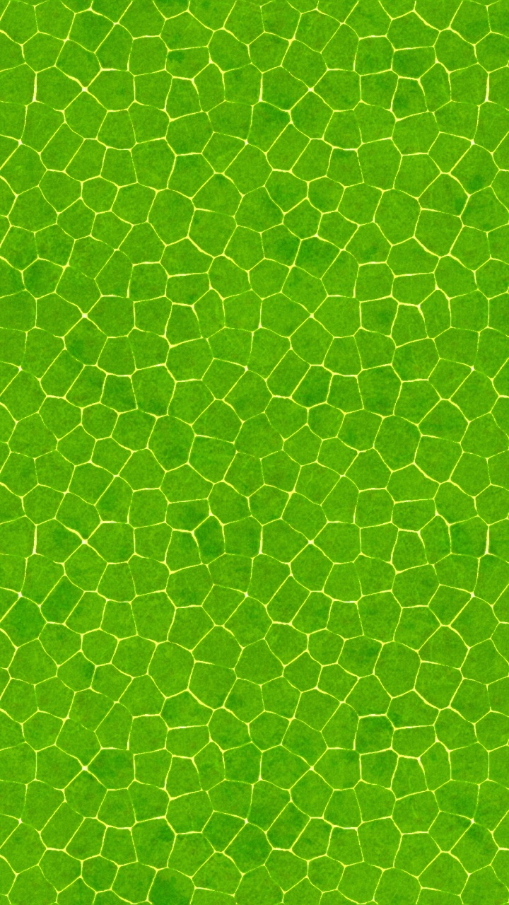 Textil de Lunares Verde y Blanco. Wallpaper in 720x1280 Resolution