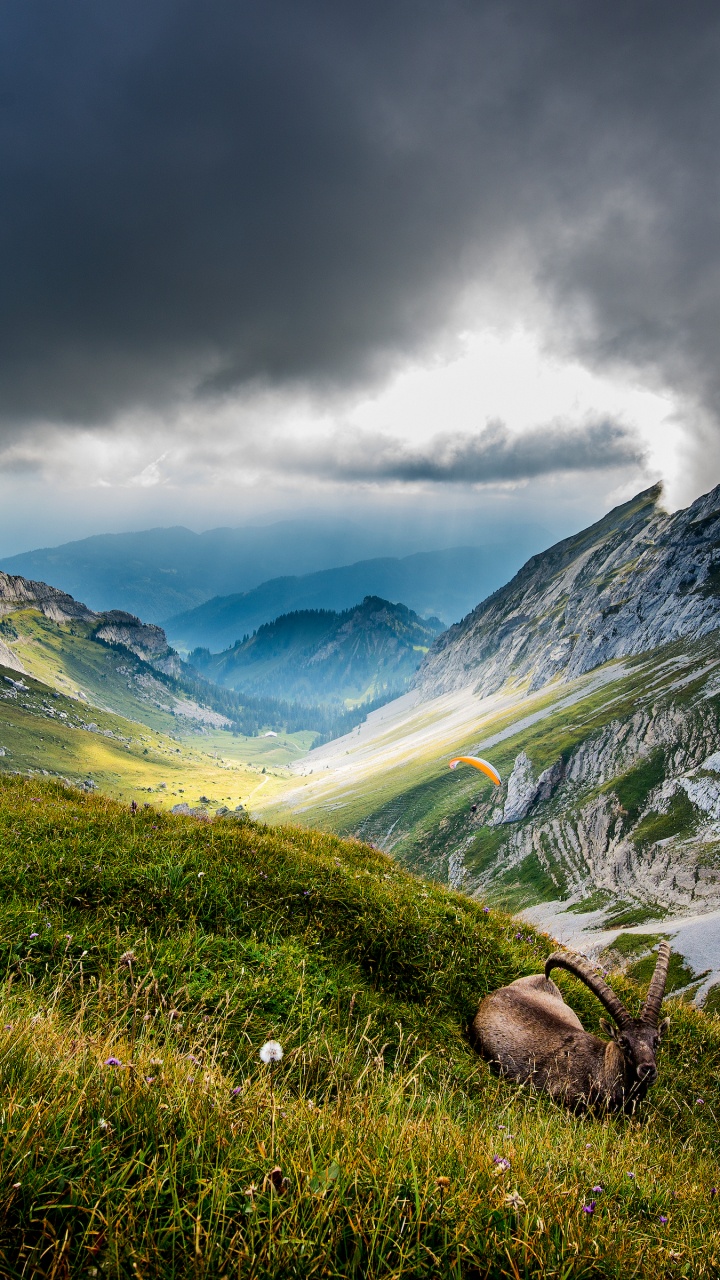 Mont Pilatus, Alpes Suisses, Lucerne, Lac Des Quatre-Cantons, Everest. Wallpaper in 720x1280 Resolution