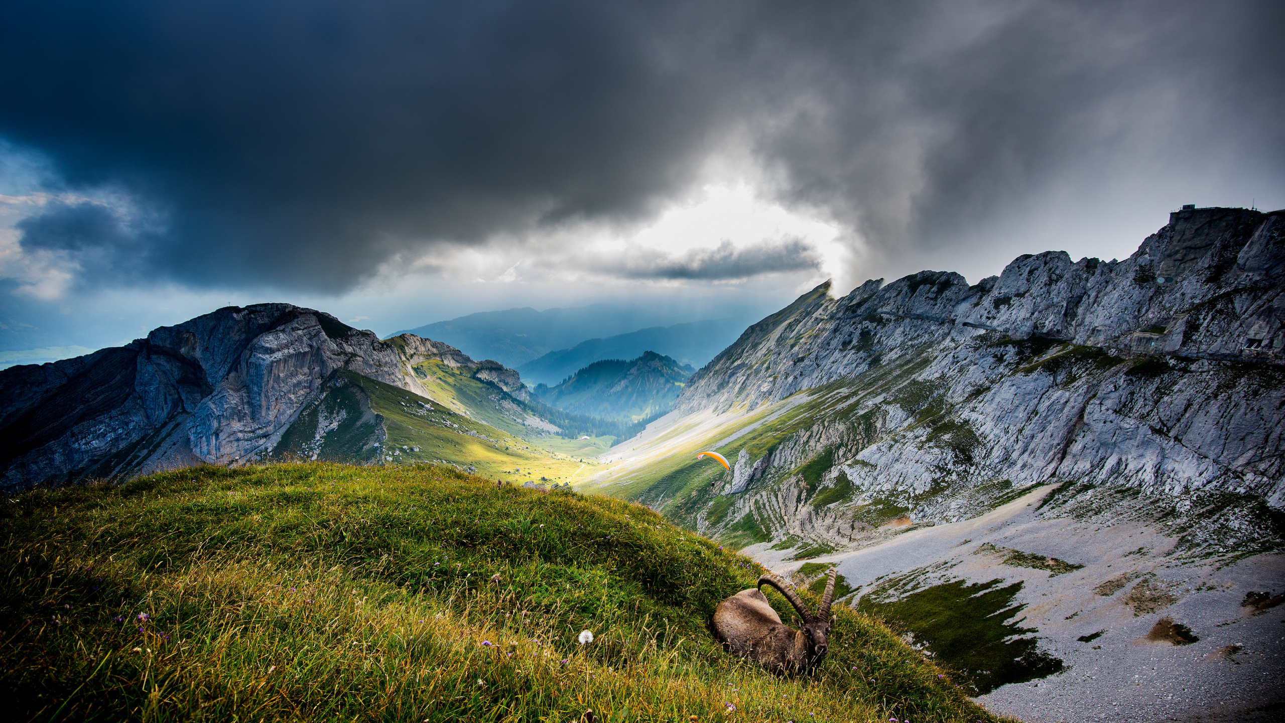 Mount Pilatus, Swiss Alps, Lucerne, Lake Lucerne, Mountain. Wallpaper in 2560x1440 Resolution