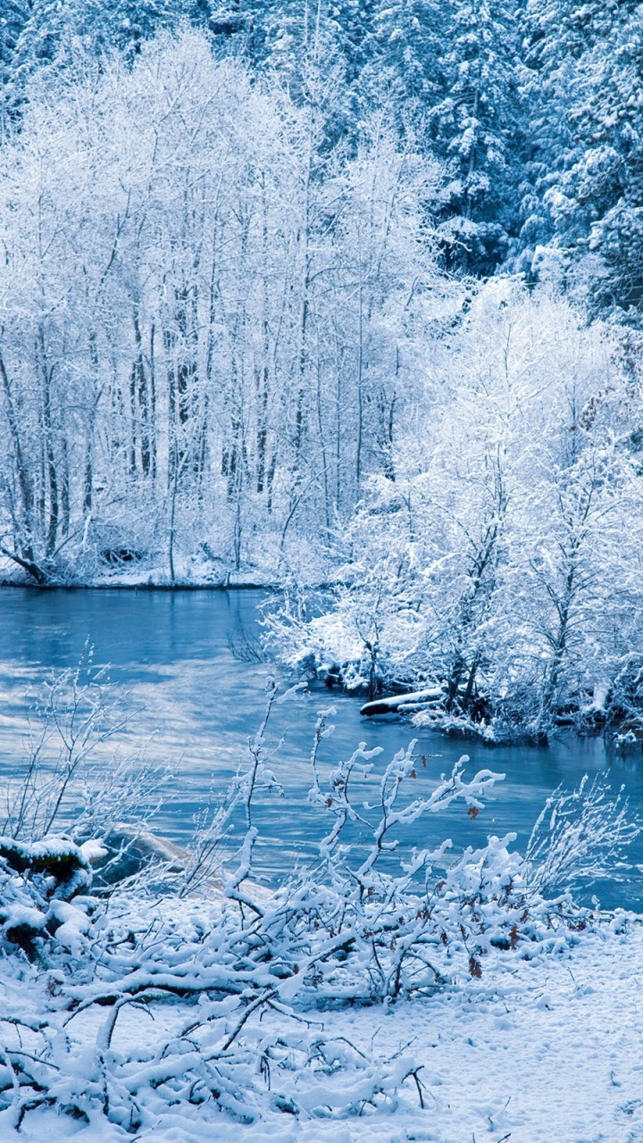 Snow Covered Trees and Body of Water During Daytime. Wallpaper in 720x1280 Resolution