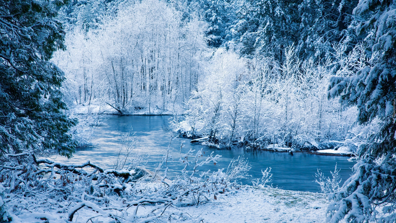 Arbres Couverts de Neige et Plan D'eau Pendant la Journée. Wallpaper in 1366x768 Resolution