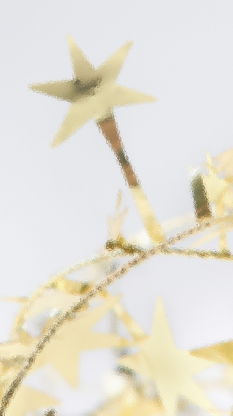 Weihnachten, Branch, Gelb, Zweig, Himmel. Wallpaper in 750x1334 Resolution