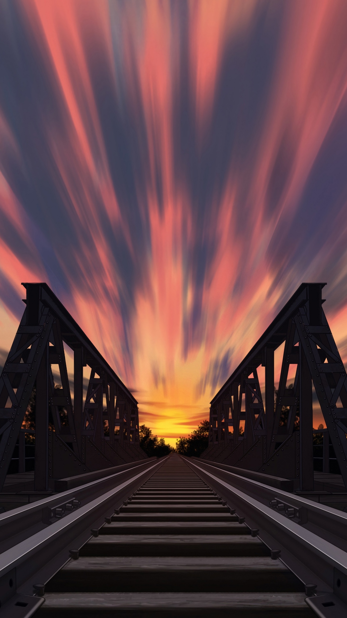 Time Lapse Photography of Cars on Road During Night Time. Wallpaper in 1440x2560 Resolution