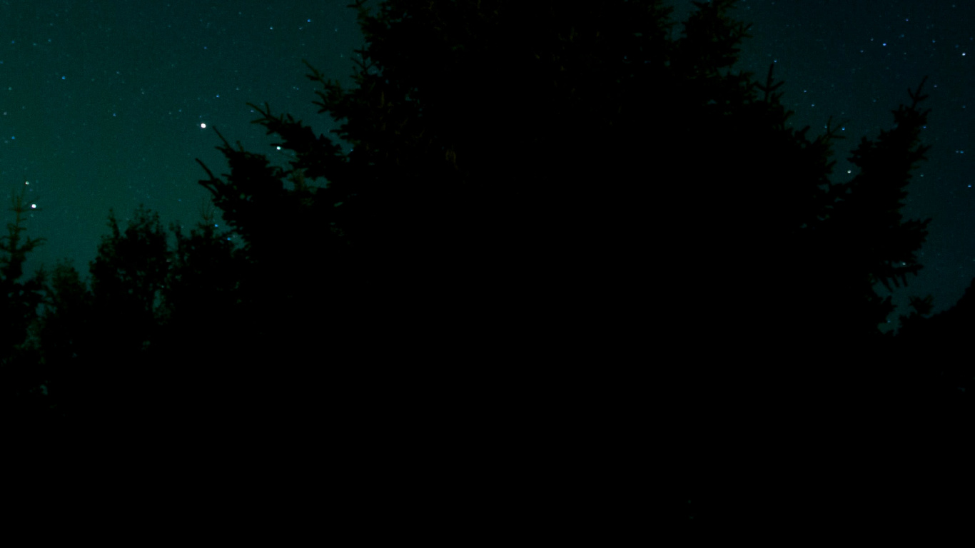 Estrella, la Astronomía, Ambiente, Paisaje Natural, Sucursal. Wallpaper in 1366x768 Resolution
