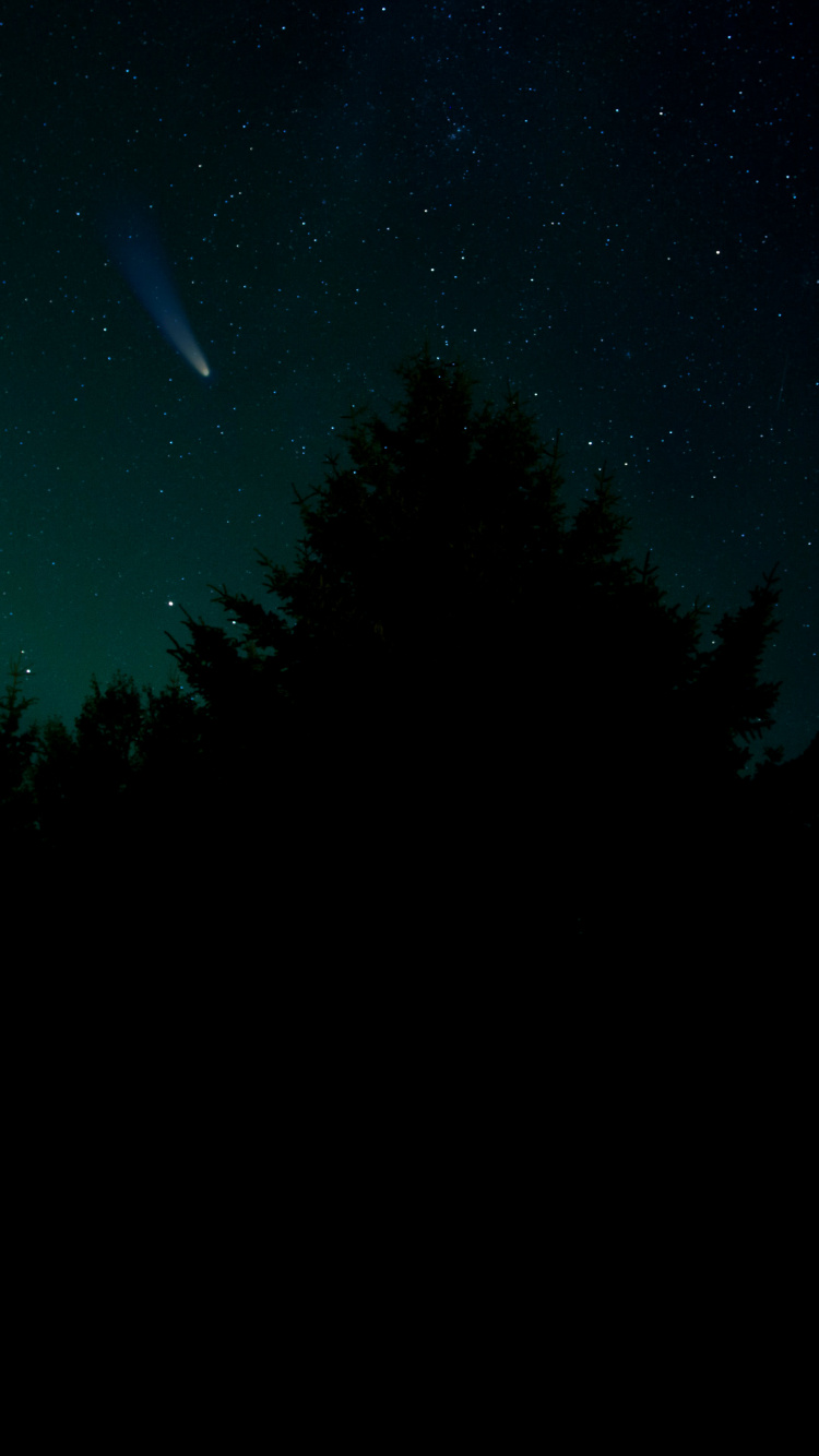 Star, Astronomy, Atmosphere, Natural Landscape, Branch. Wallpaper in 750x1334 Resolution