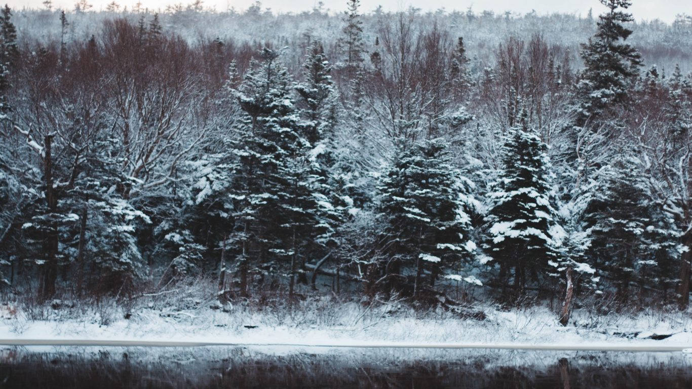 Estanque, Congelación, Paisaje Natural, Cuerpo de Agua, Nieve. Wallpaper in 1366x768 Resolution