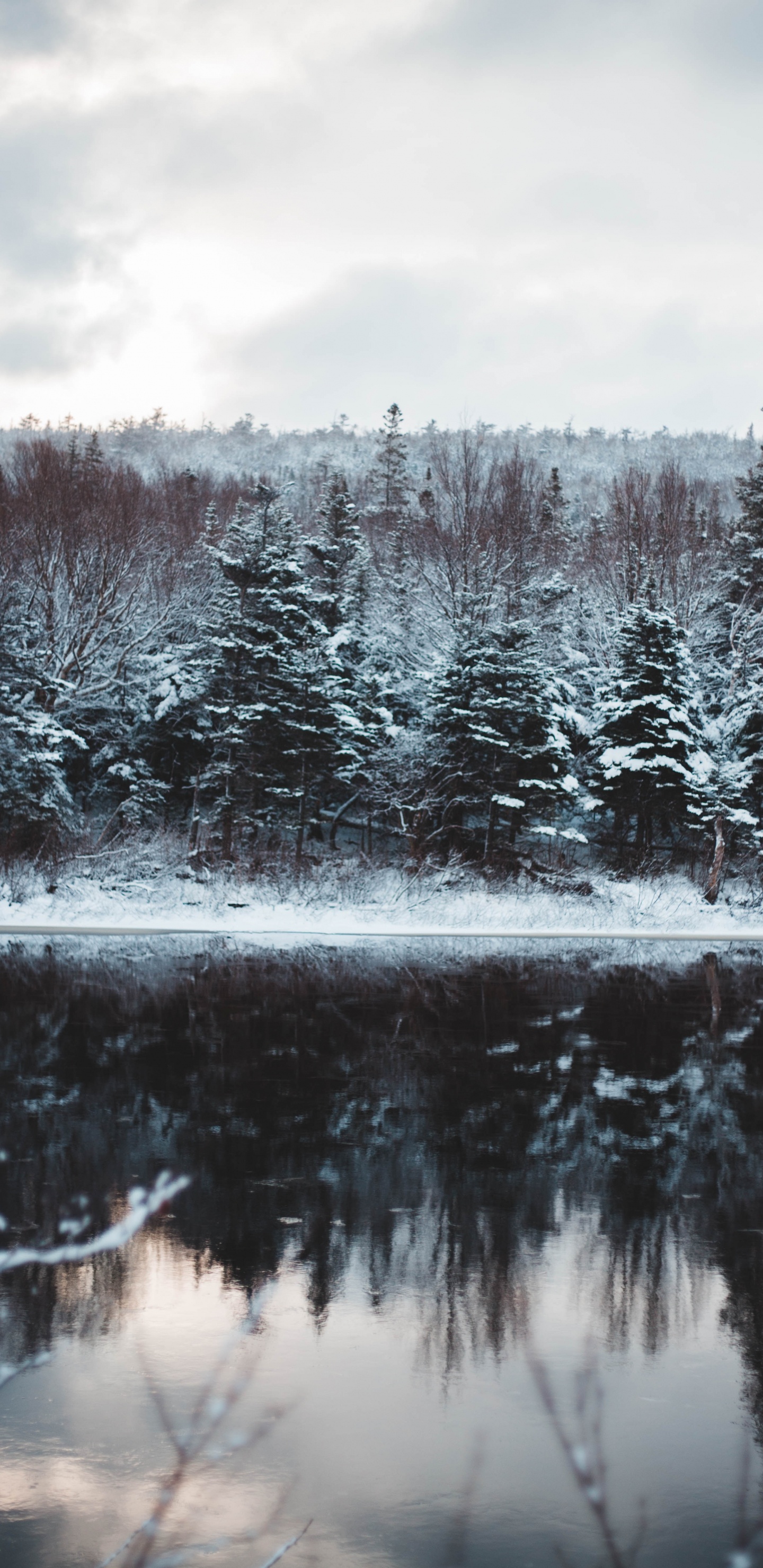 Étang, Congélation, Paysage Naturel, Corps de L'eau, Sapin. Wallpaper in 1440x2960 Resolution