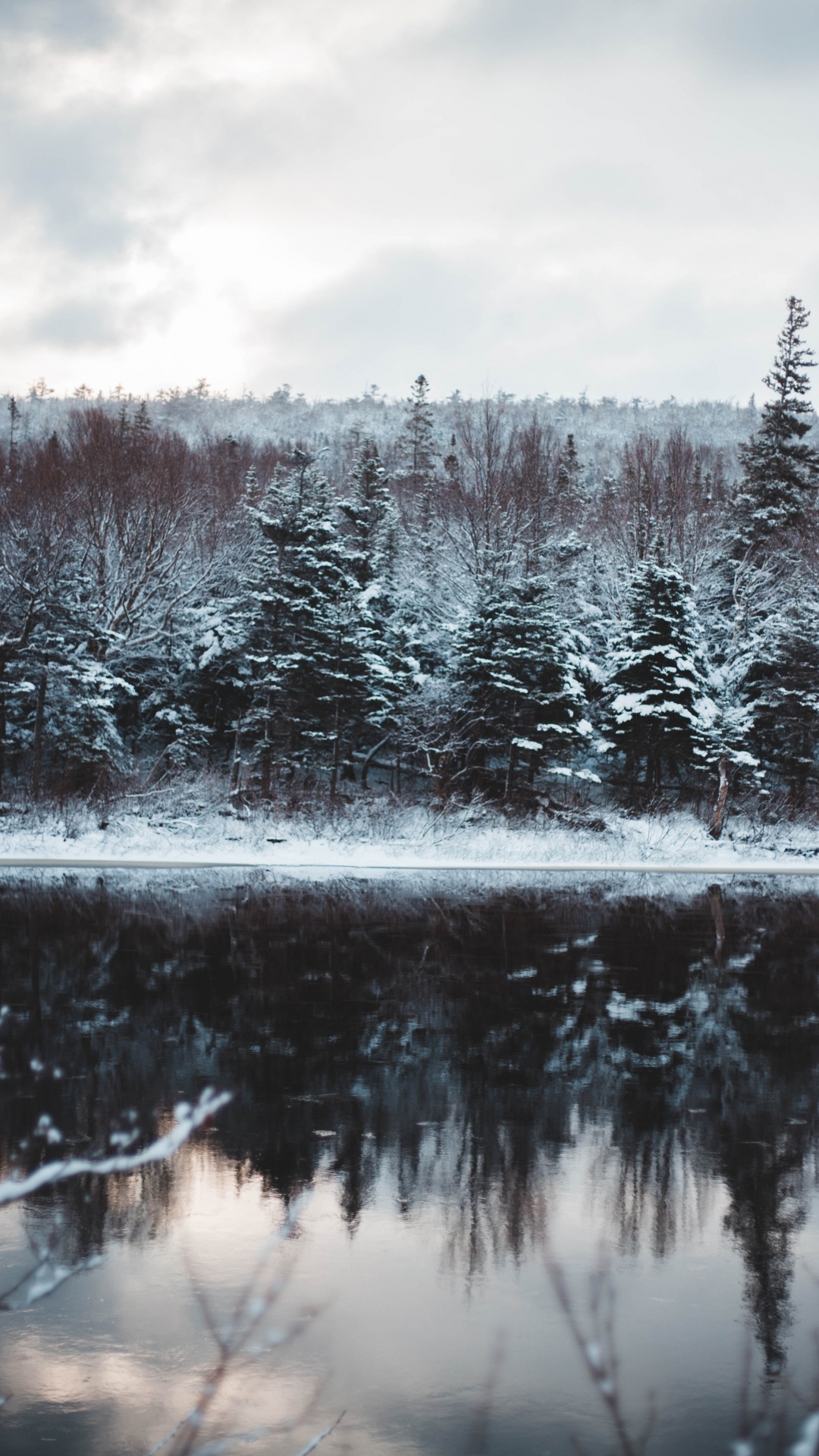 Teich, Einfrieren, Naturlandschaft, Gewässer, Fir. Wallpaper in 1080x1920 Resolution