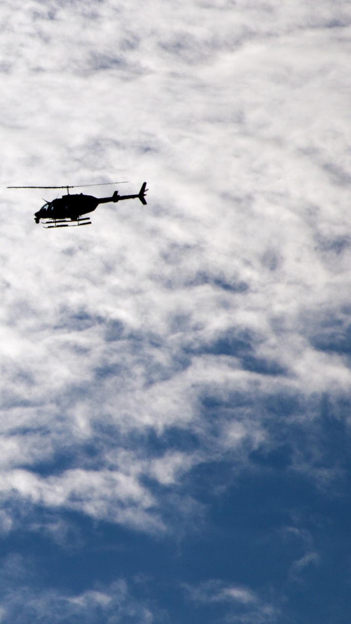 Black Bird Flying Under White Clouds During Daytime. Wallpaper in 720x1280 Resolution