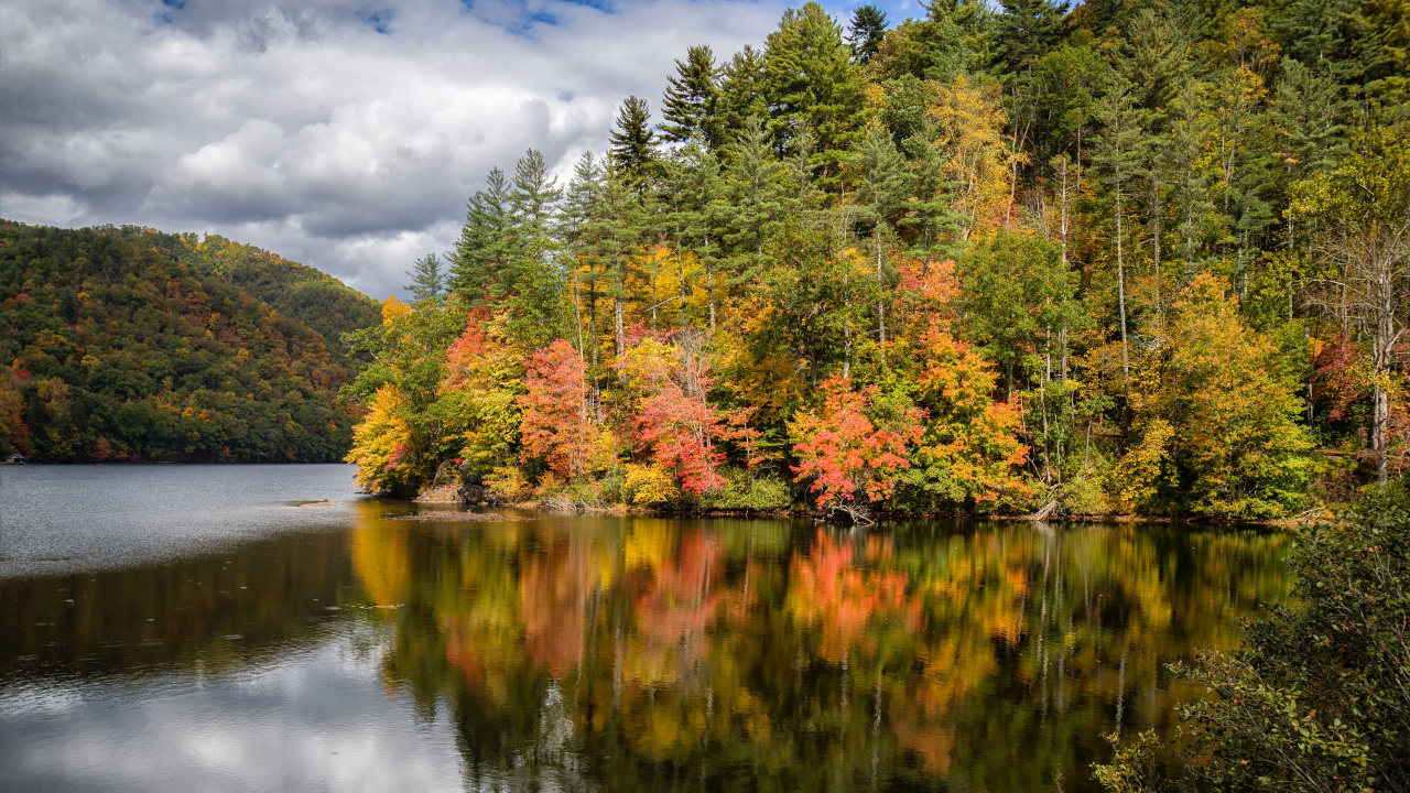 Green and Yellow Trees Beside River Under Cloudy Sky During Daytime. Wallpaper in 1280x720 Resolution